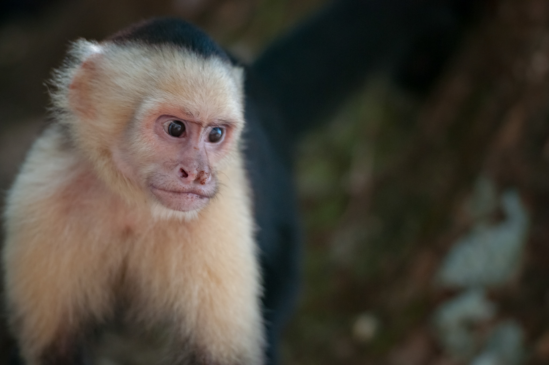 Parque Nacional Manuel Antonio