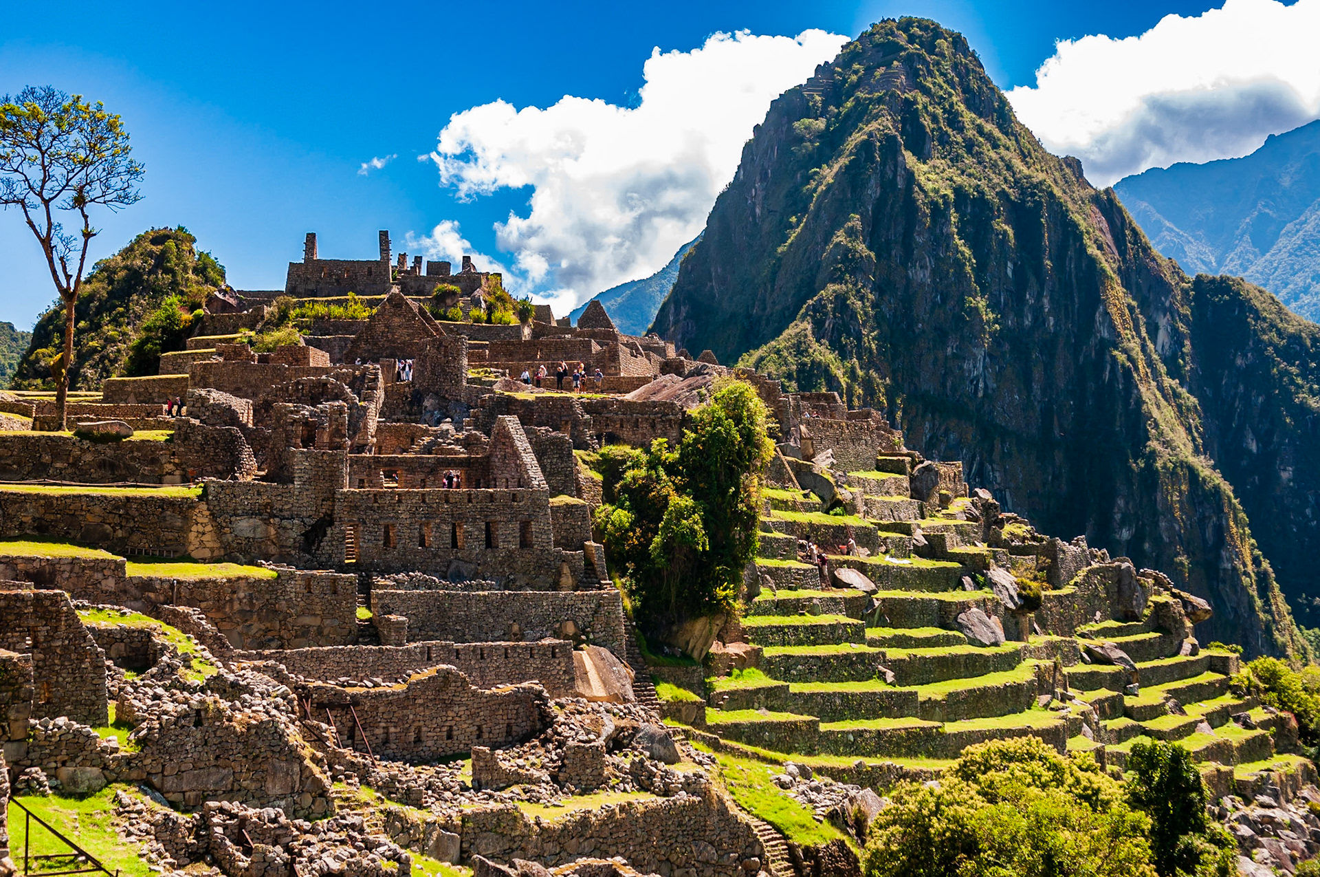 Machu Picchu