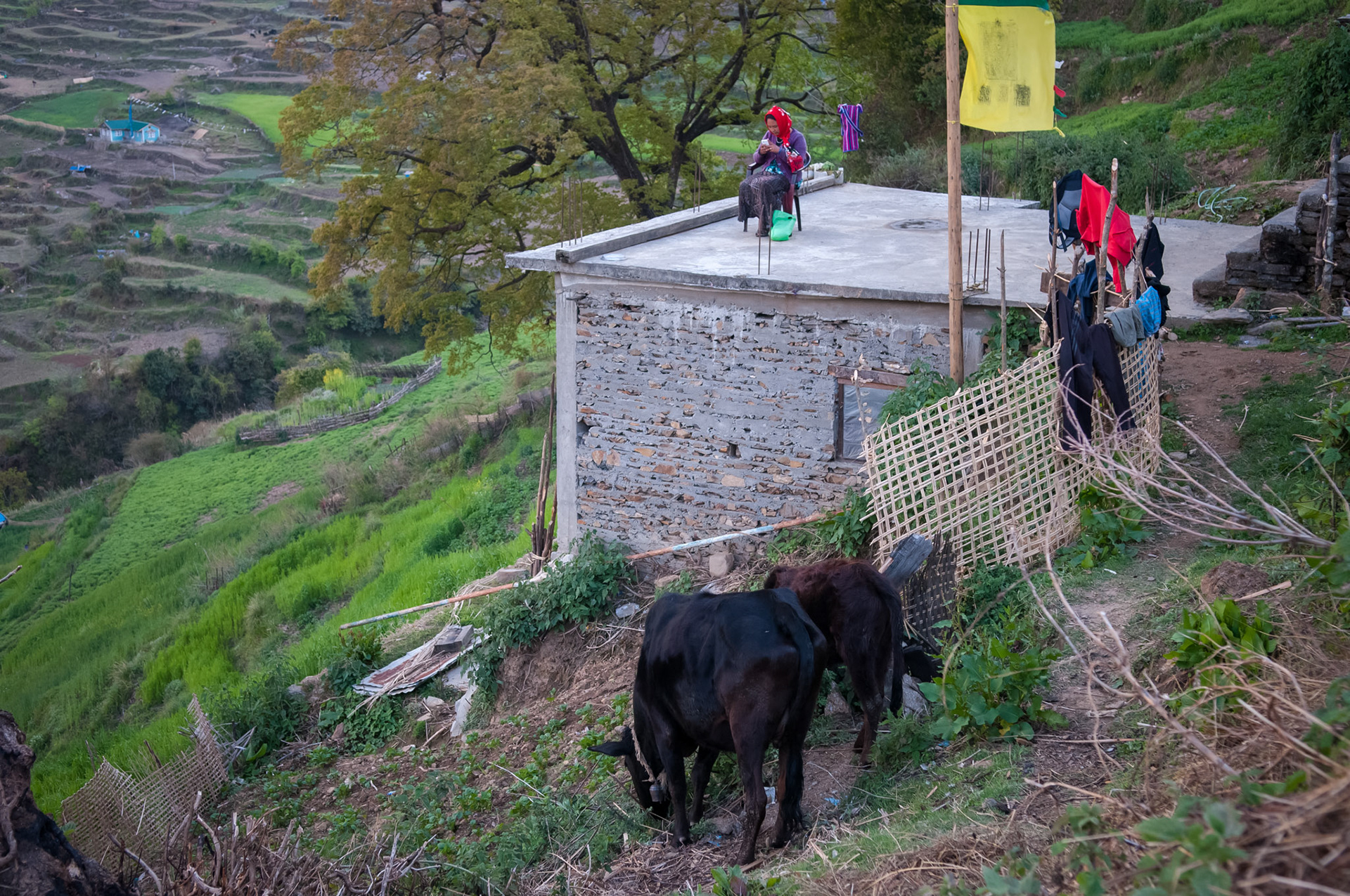 Thulo Syabru (2210m)