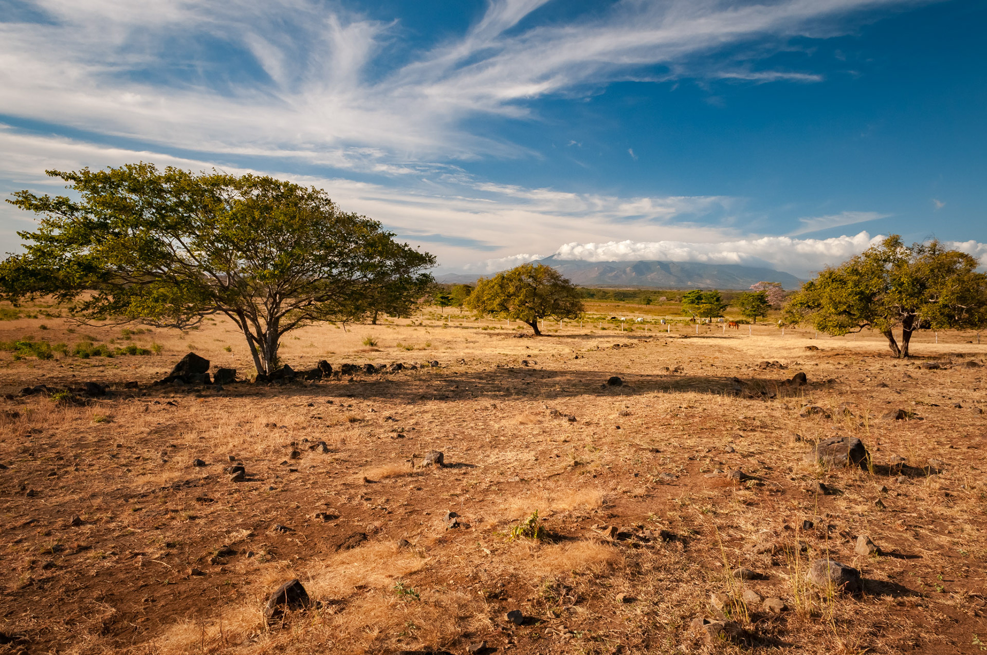 Route 6 vers Tenorio