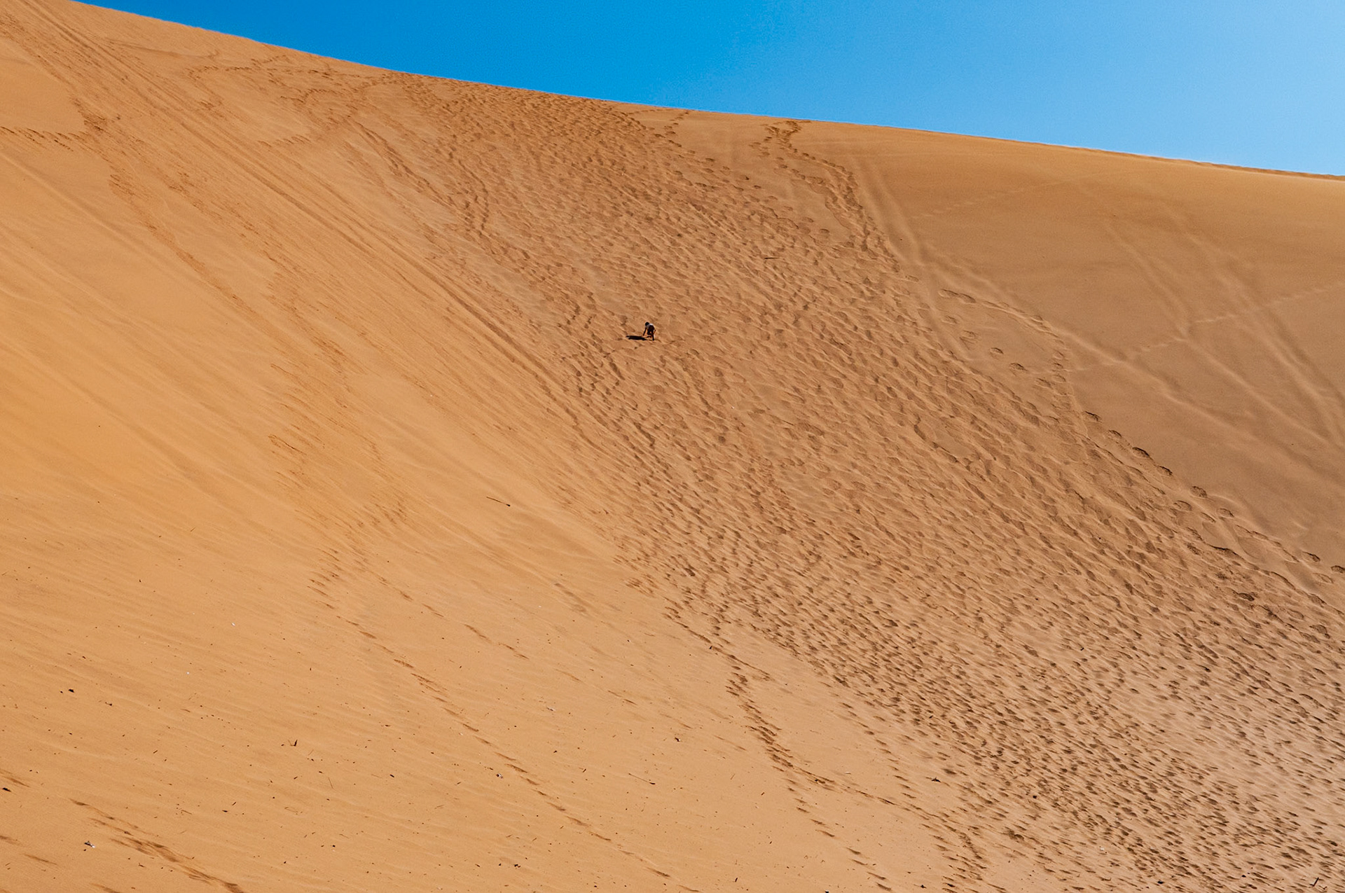 Dune 7, Walvis Bay