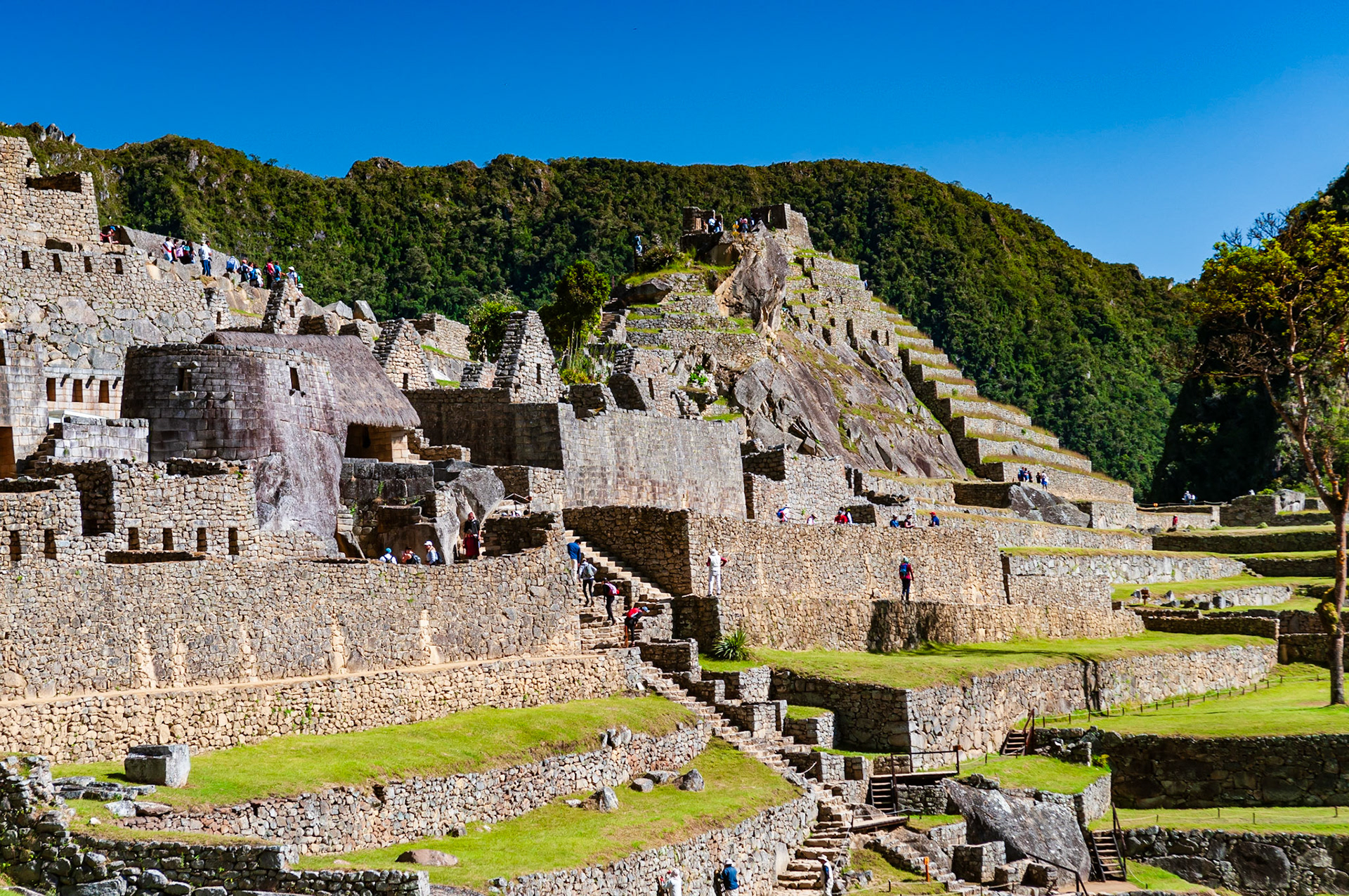 Machu Picchu