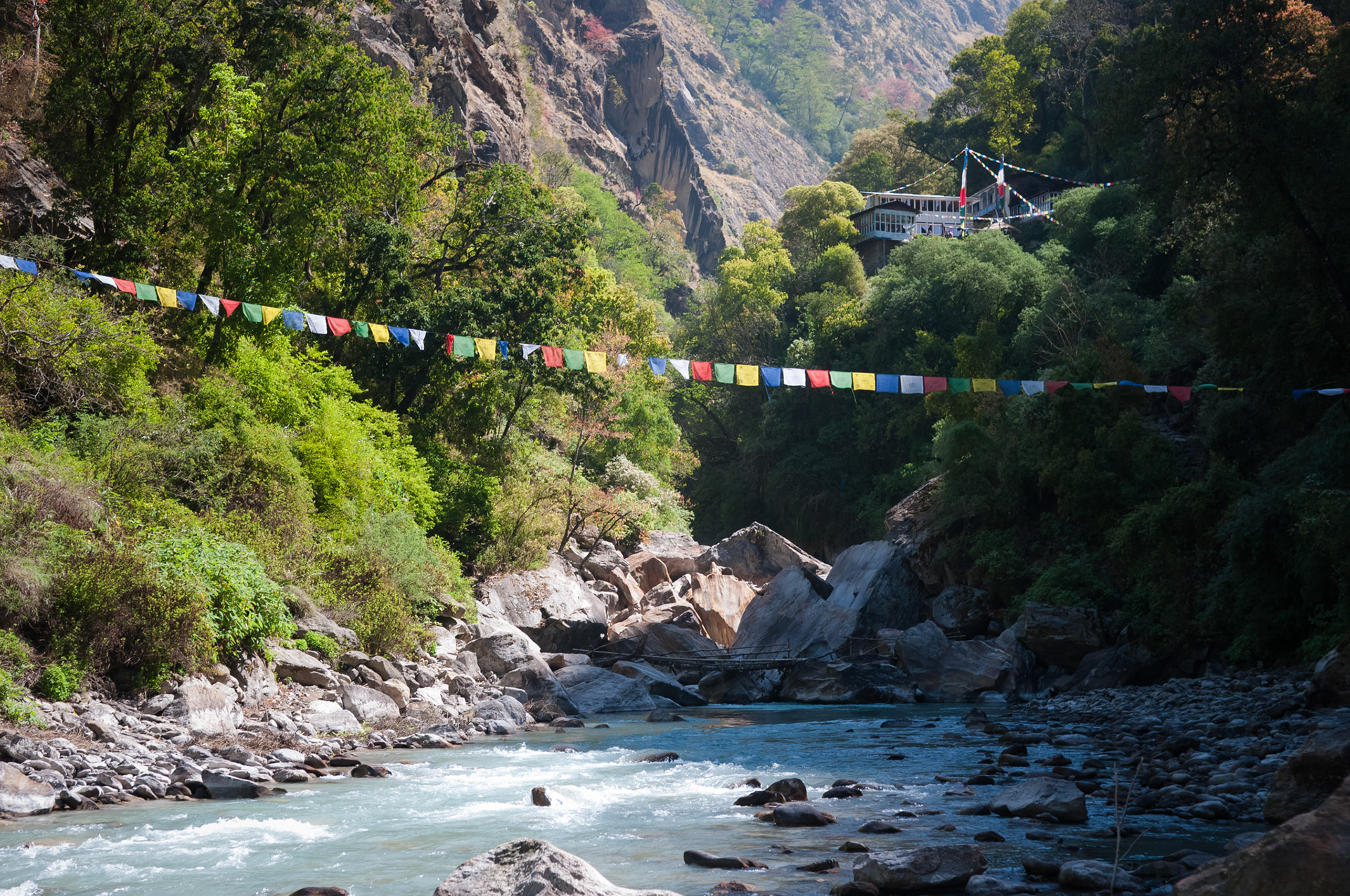 Entre Thulo Syabru (2210m) et Lama Hotel (2410m)