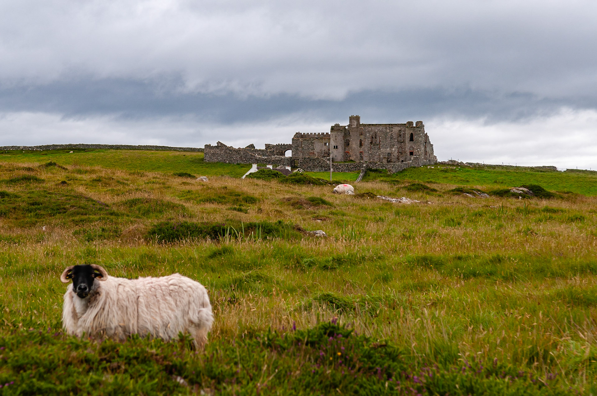 Bunowen Castle, County Galway