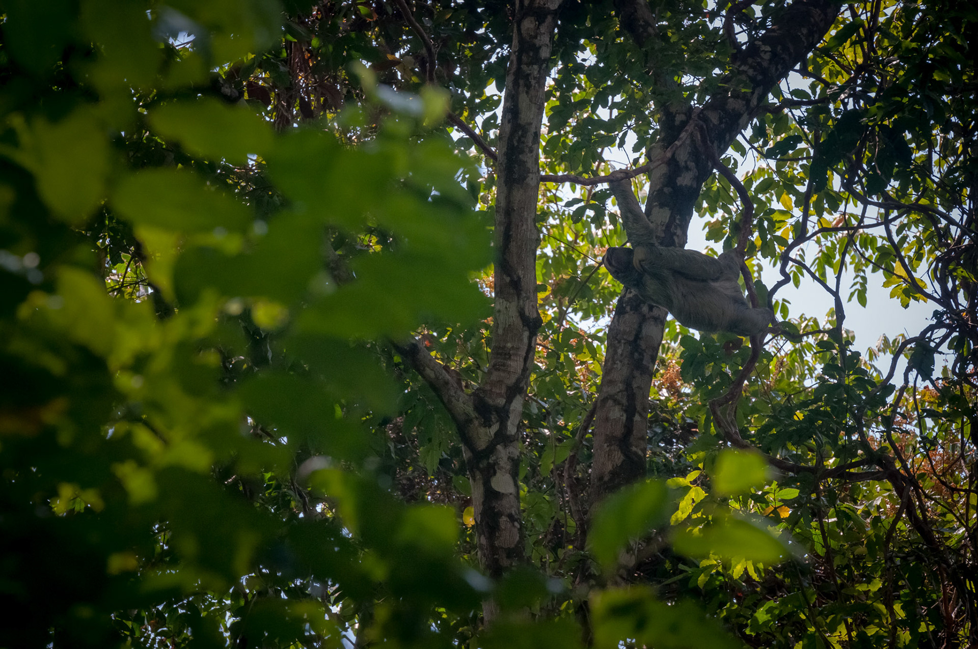 Parque Nacional Manuel Antonio