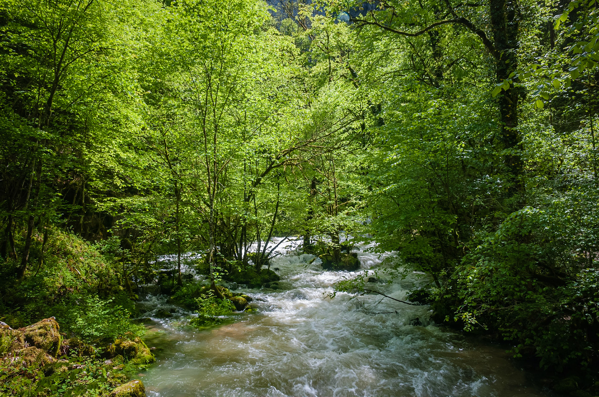 Grotte Sarrazine, Source du Lison, France