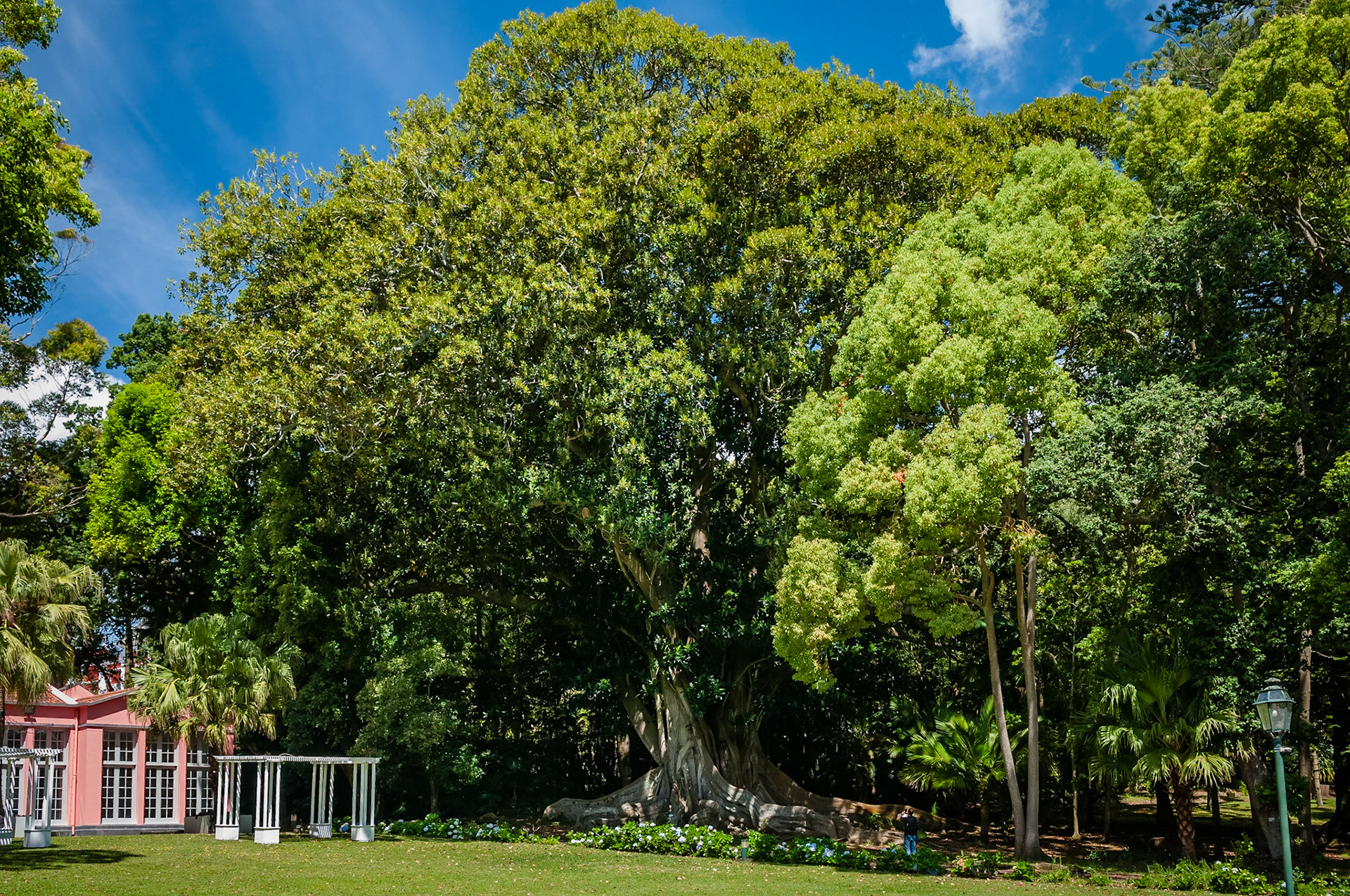 Jardim José do Canto, Ponta Delgada, São Miguel