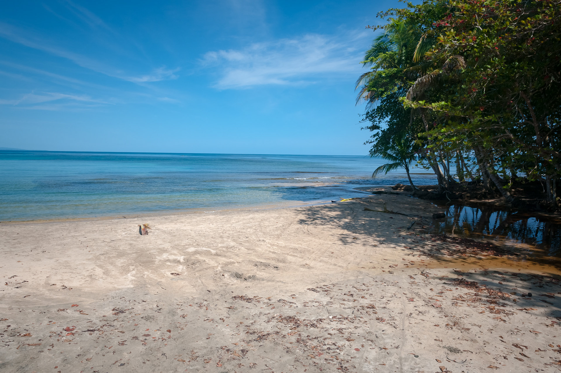 Refugio Nacional de Vida Silvestre Gandoca-Manzanillo