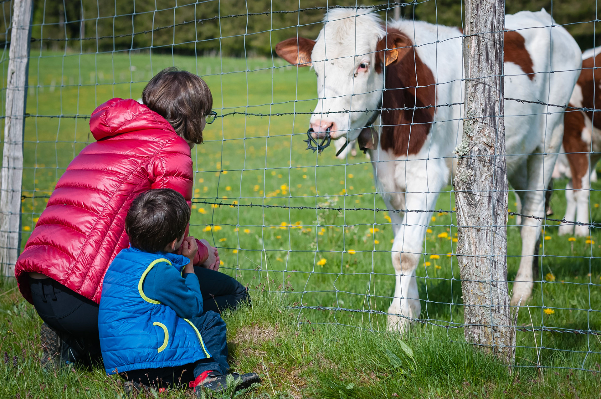 Chambre d'hôtes aux trois sapins, Gilley, France