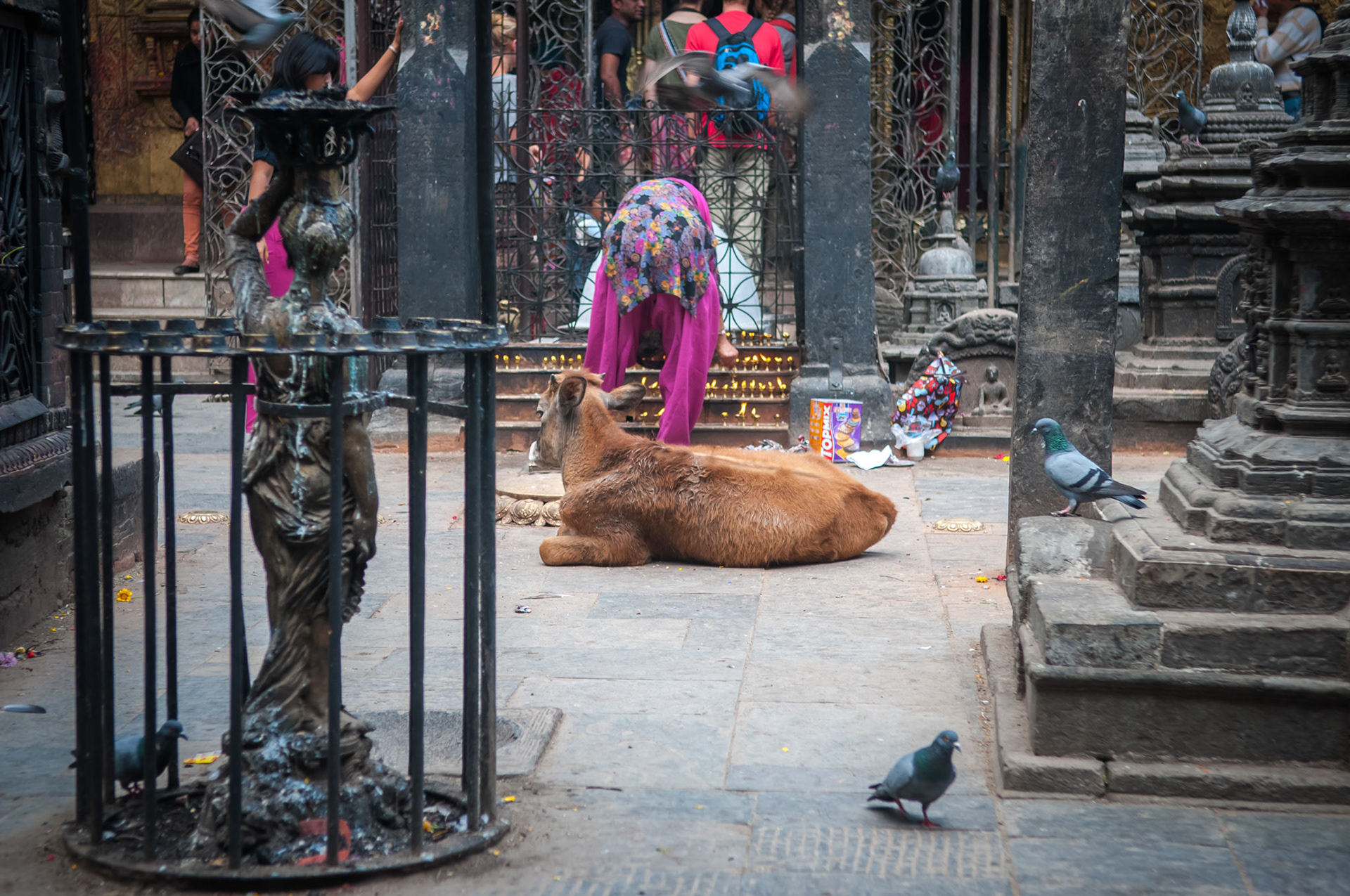 Temple Sto Machhendranath, Kathmandou