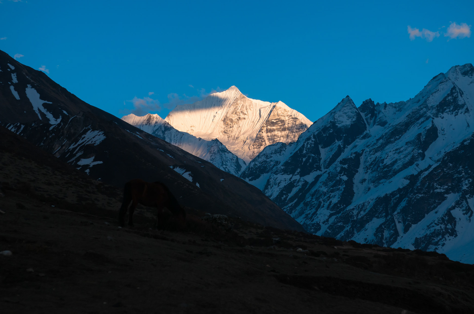 Kyanjin Gumba (3830m)
