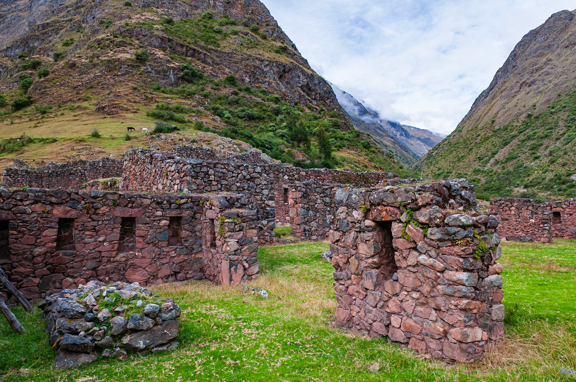 Salcantay Trek, Camp de Base 2