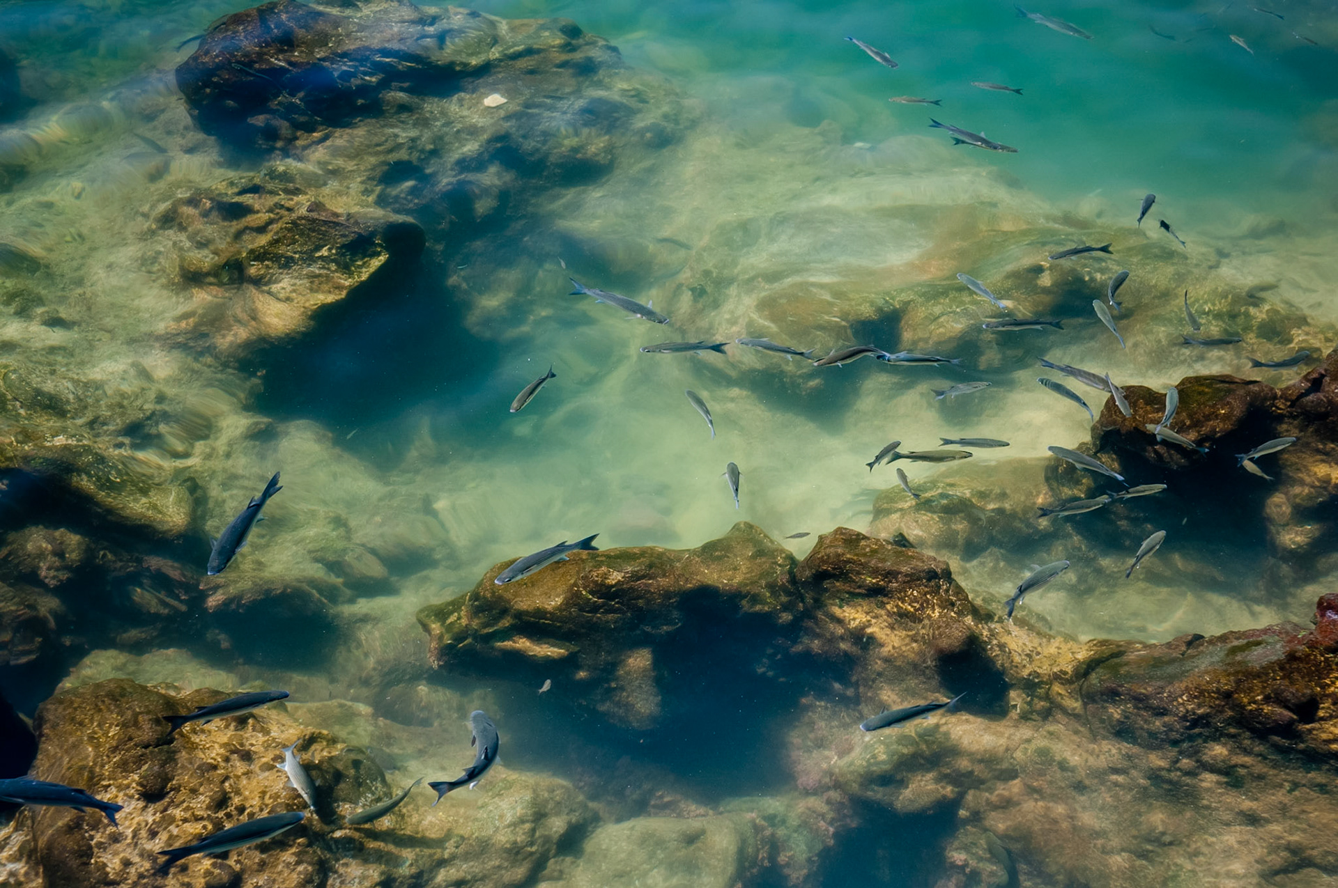 Piscinas Natrurais, Biscoitos, Terceira