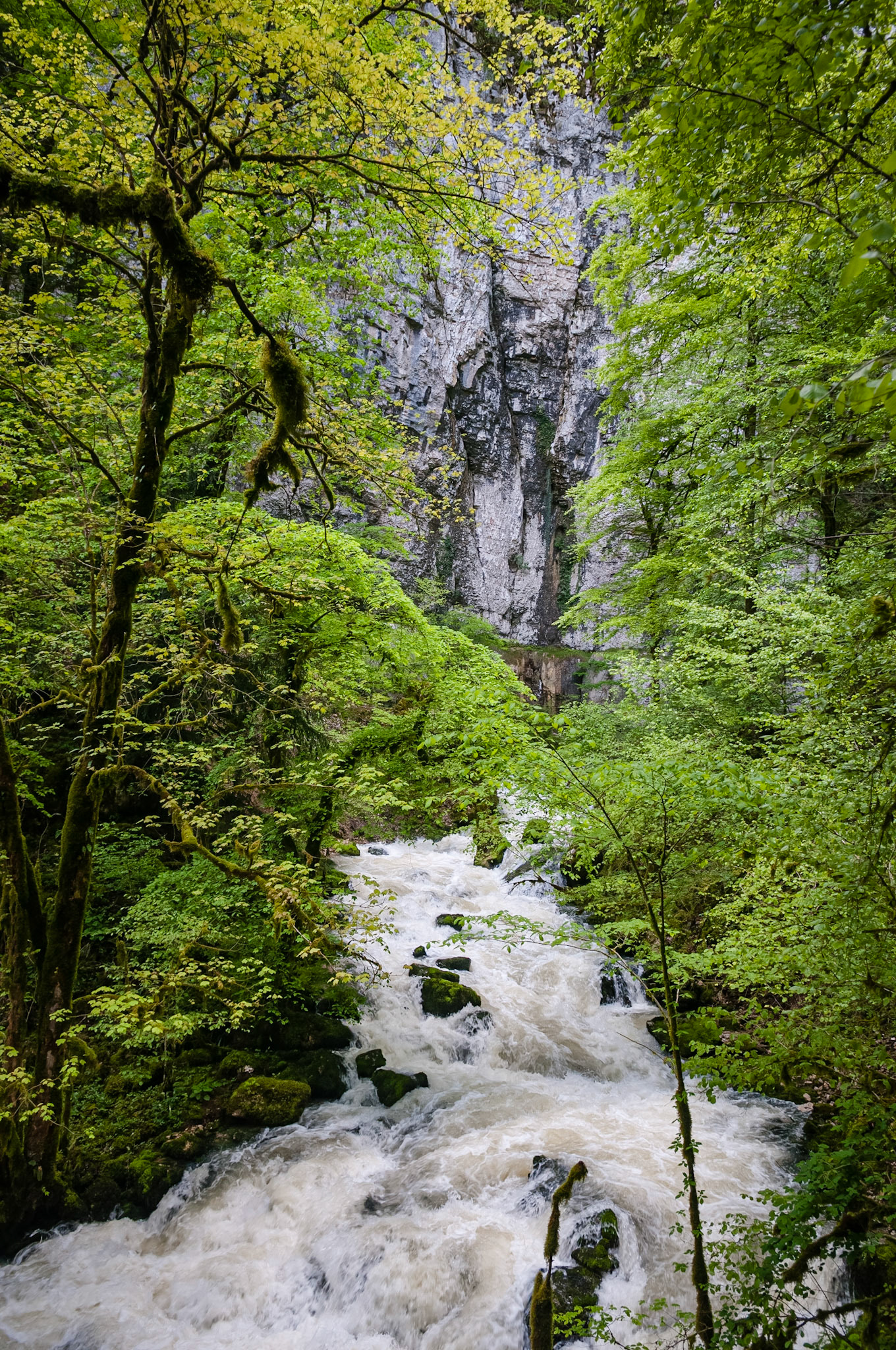 Grotte Sarrazine, Source du Lison, France