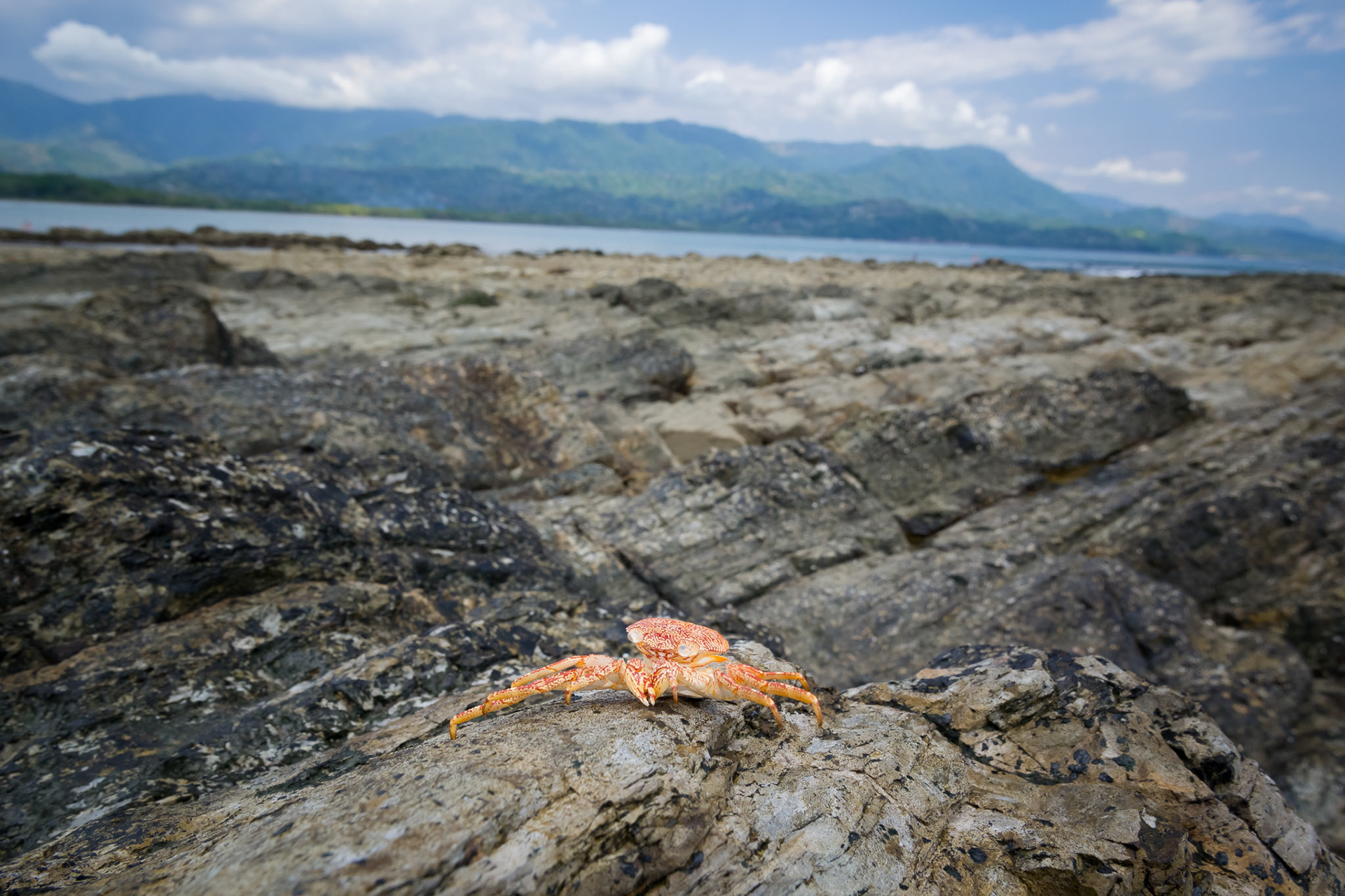 Parque National Marino Ballena