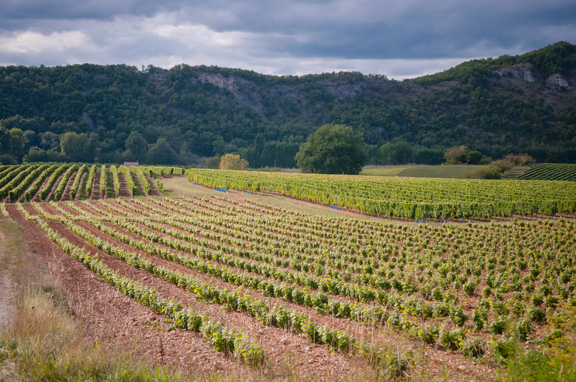 Vignoble de Cahors