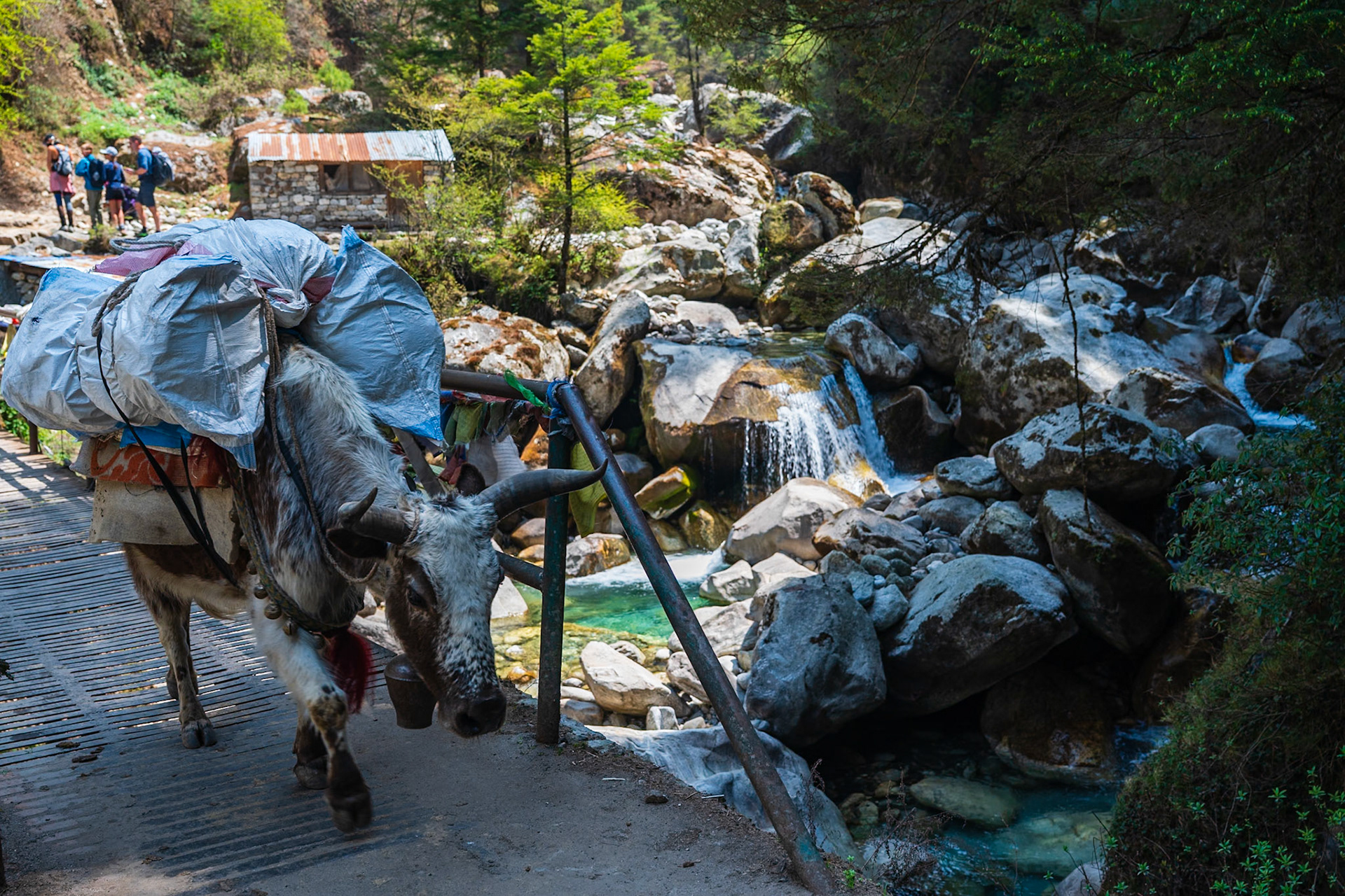 Day 2 - Phakding (2'610 m) to Namche Bazaar (3'446 m)