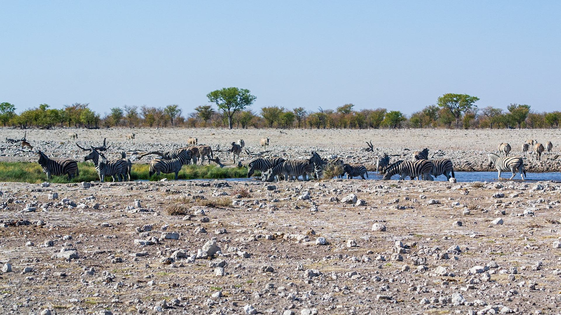 Etosha National Park
