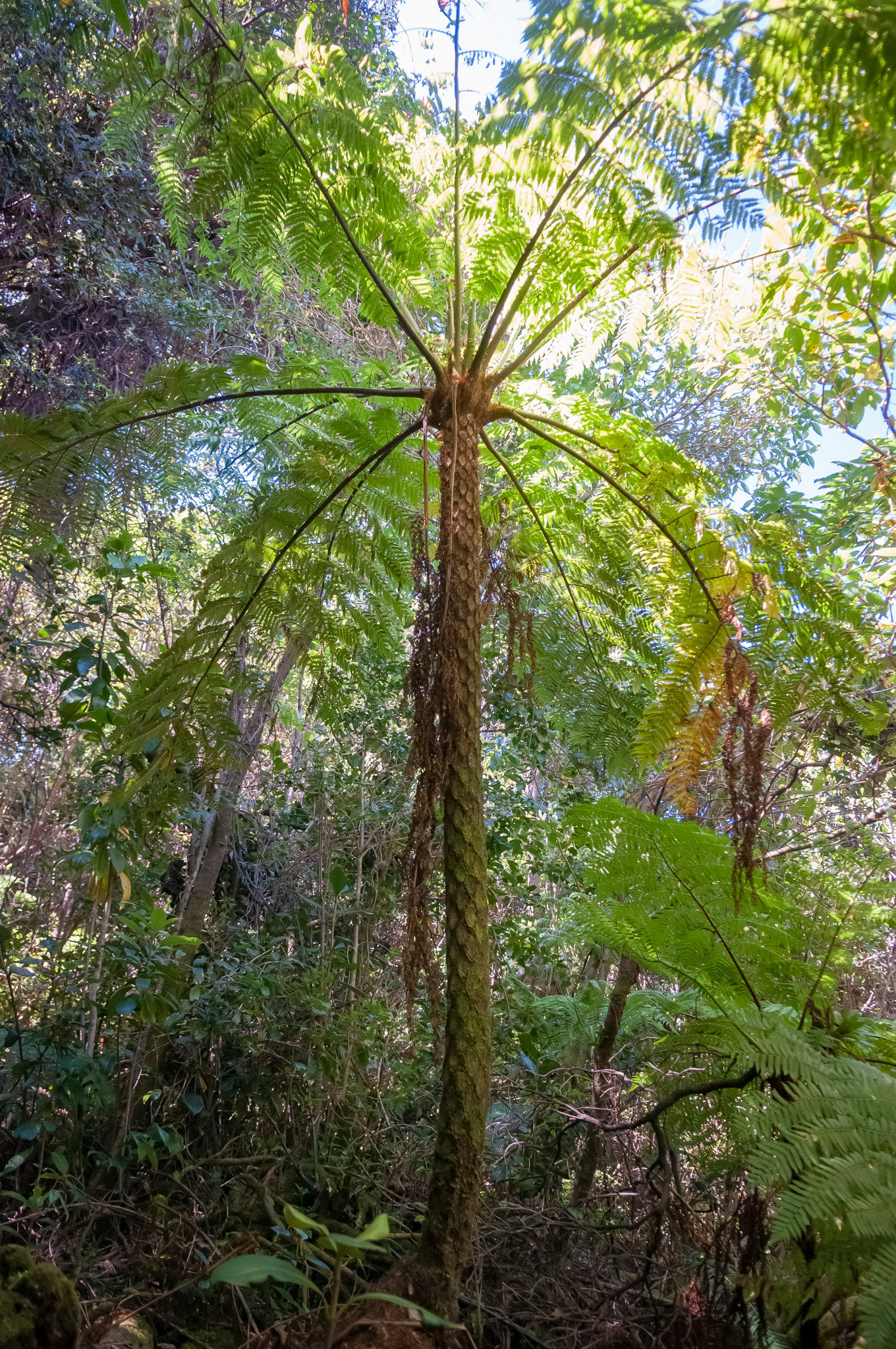 Parque National Volcàn Poas