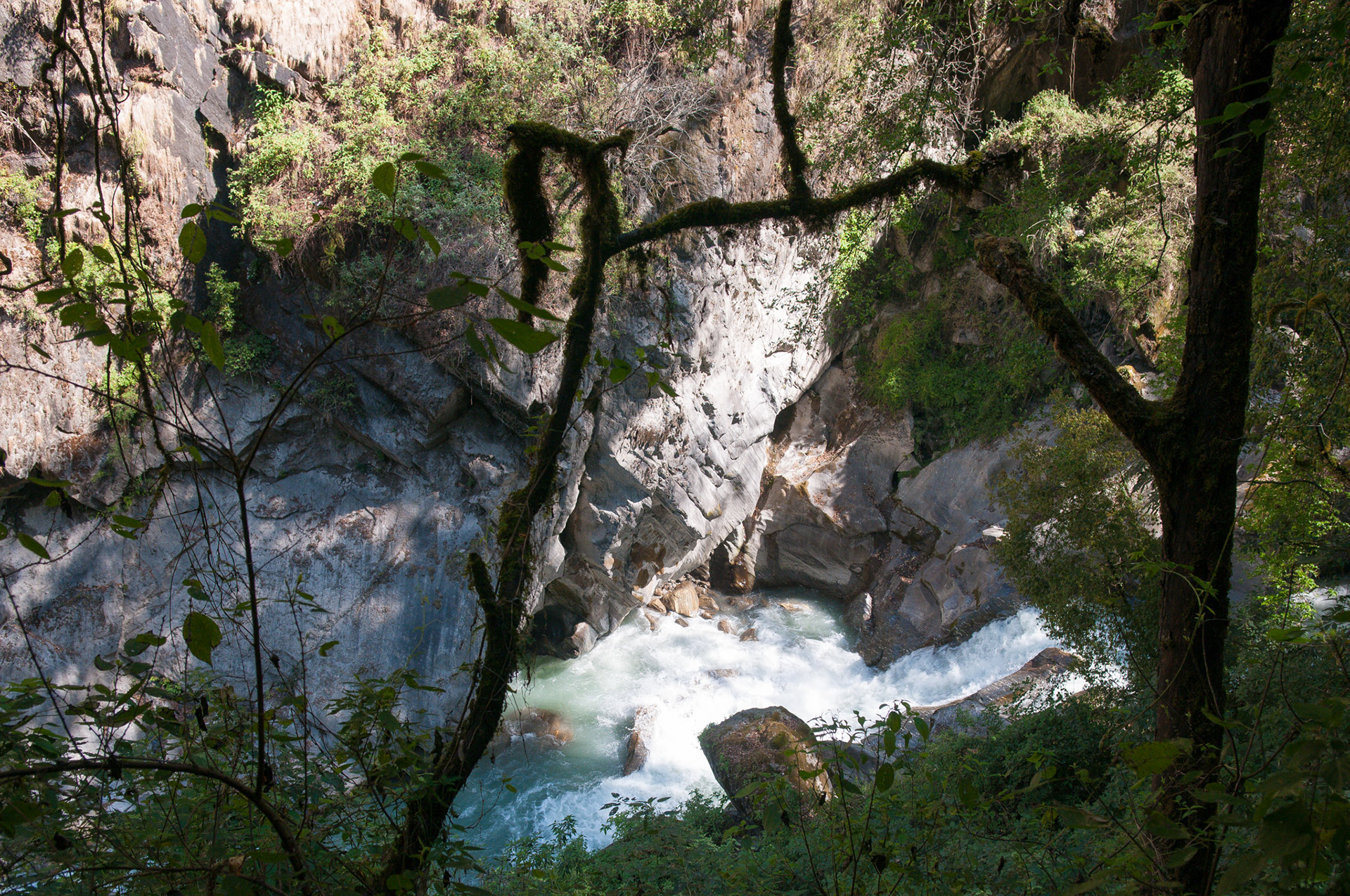 Entre Lama Hotel (2410m) et Thulo Syabru (2210m)