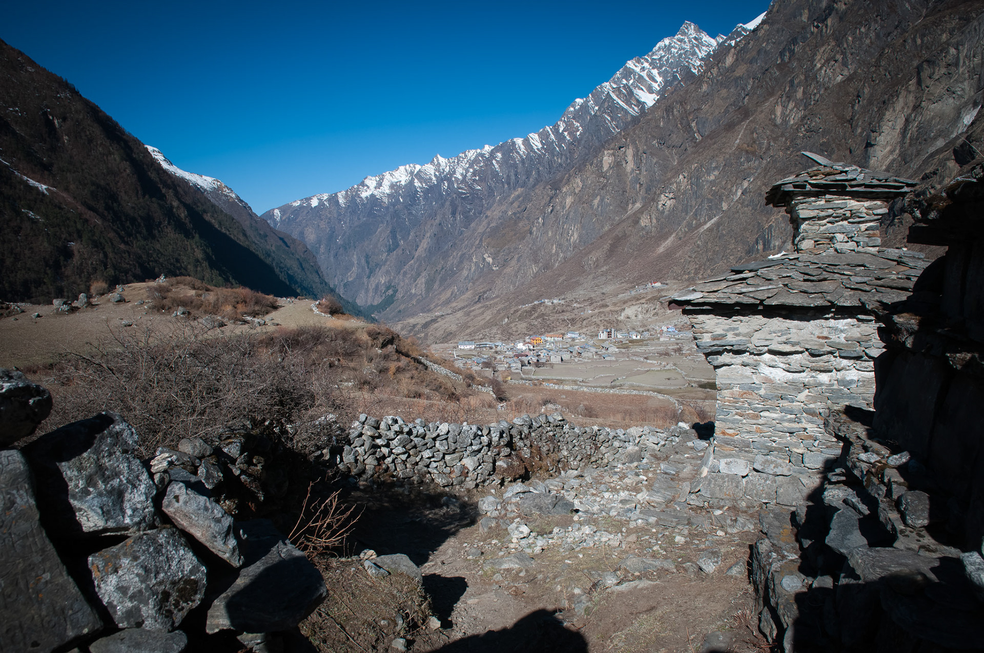 Entre Langtang (3430m) et Kyanjin Gumba (3830m)