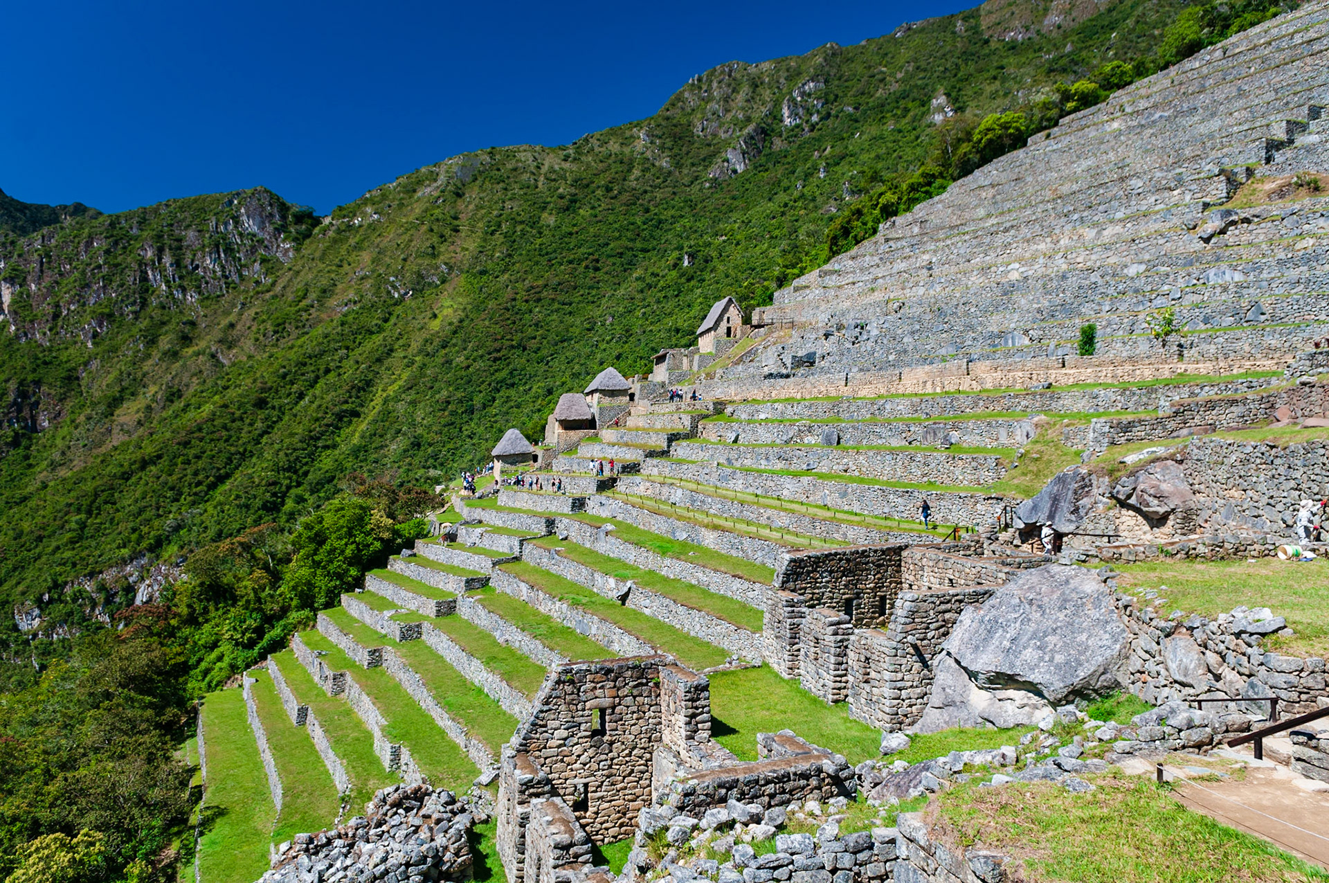 Machu Picchu