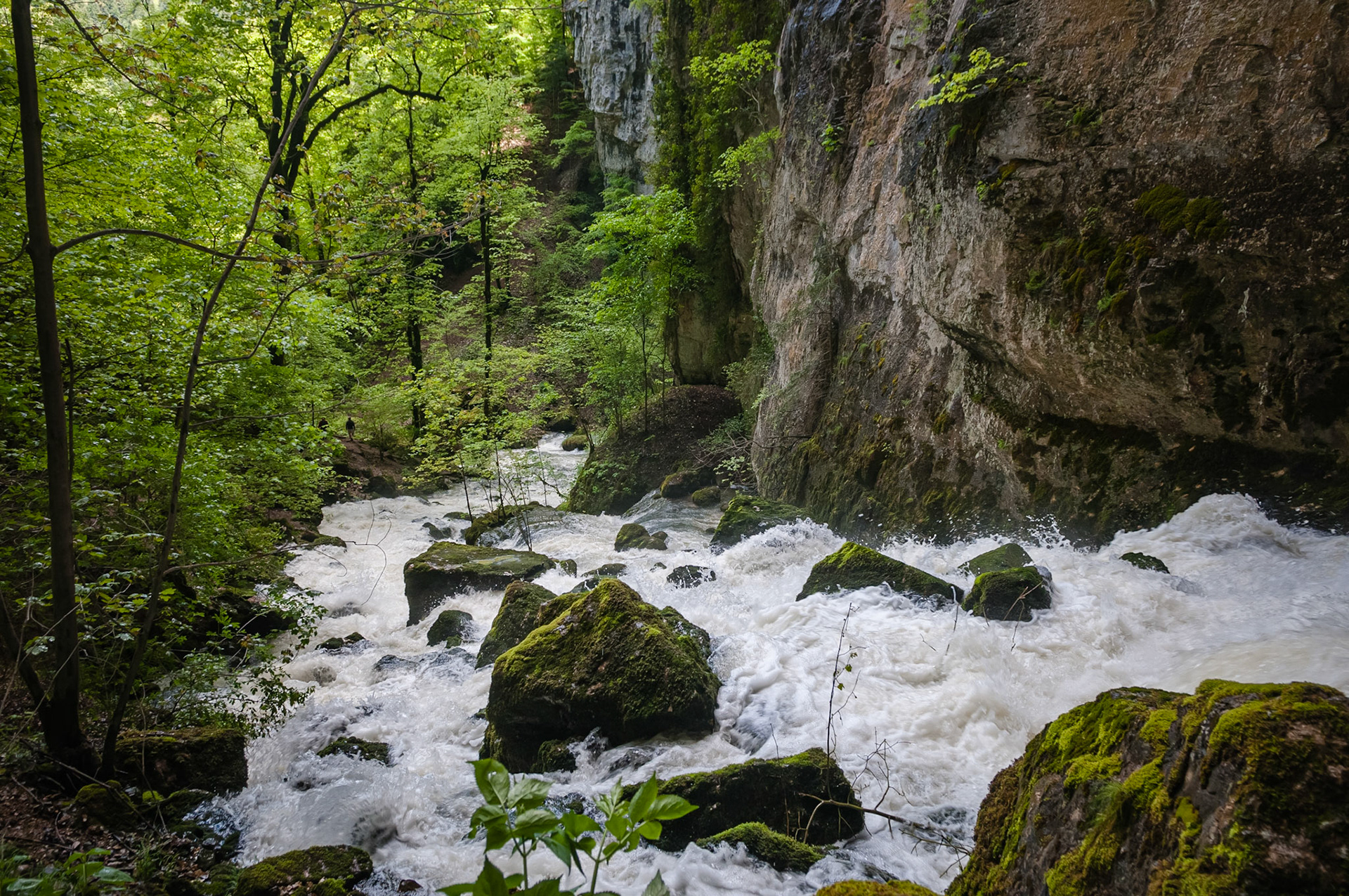 Grotte Sarrazine, Source du Lison, France