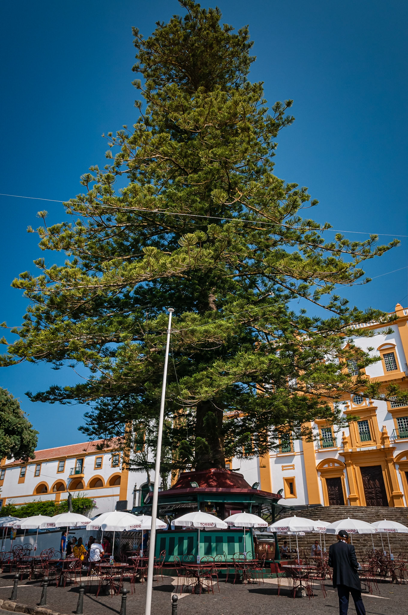 Angra do Heroismo, Terceira