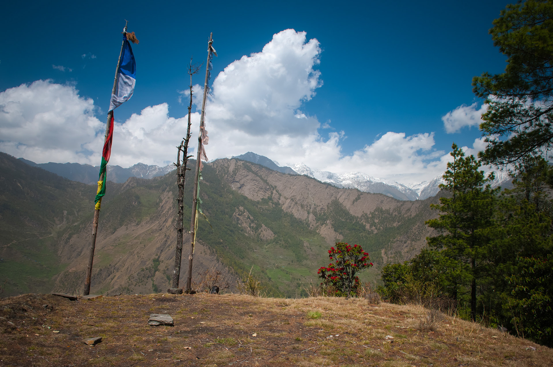 Entre Dhunche (1960m) et Thulo Syabru (2210m)