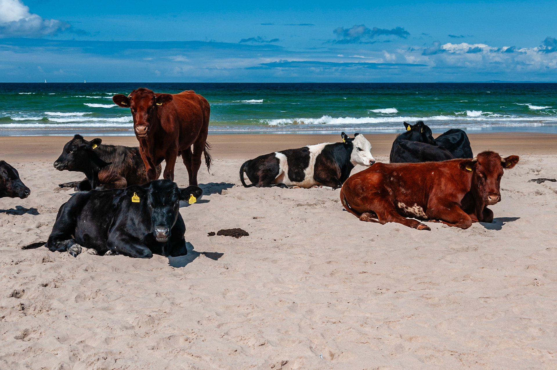 Whitepark Beach, North Ireland