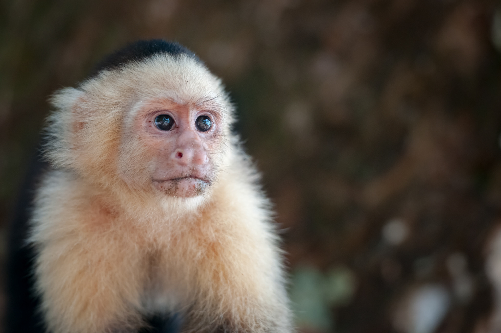 Parque Nacional Manuel Antonio