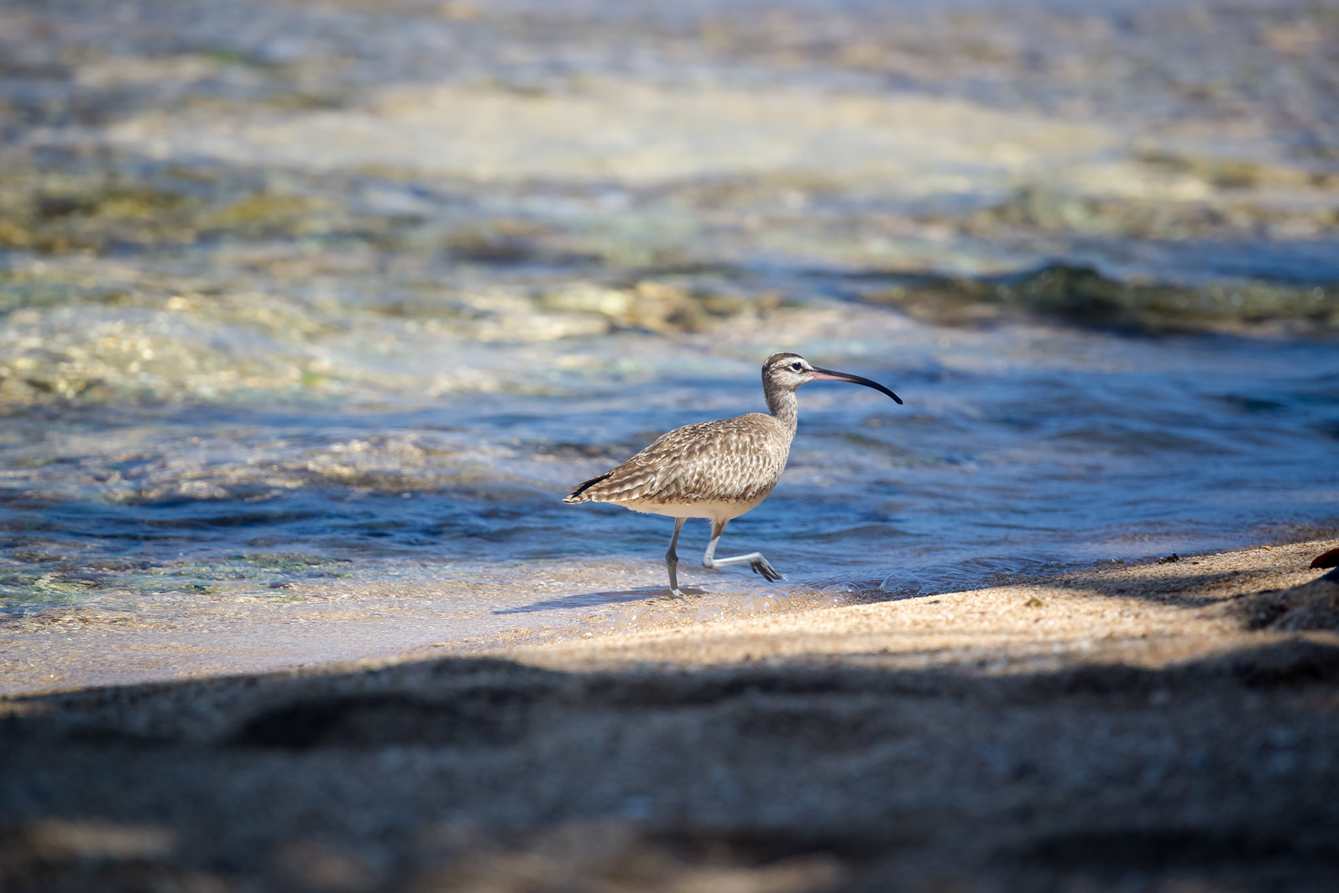 Refugio Nacional de Vida Silvestre Gandoca-Manzanillo