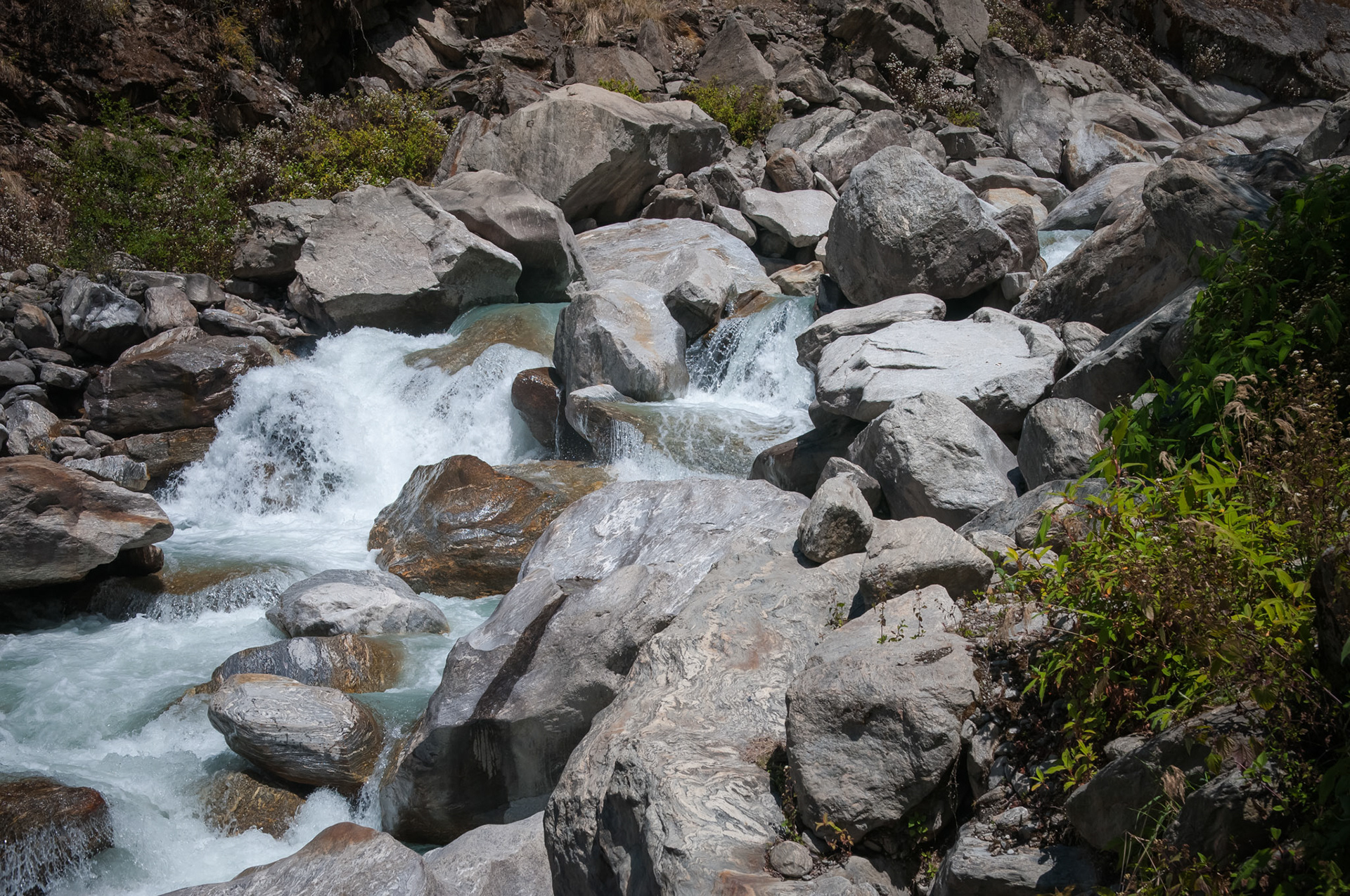 Entre Thulo Syabru (2210m) et Lama Hotel (2410m)