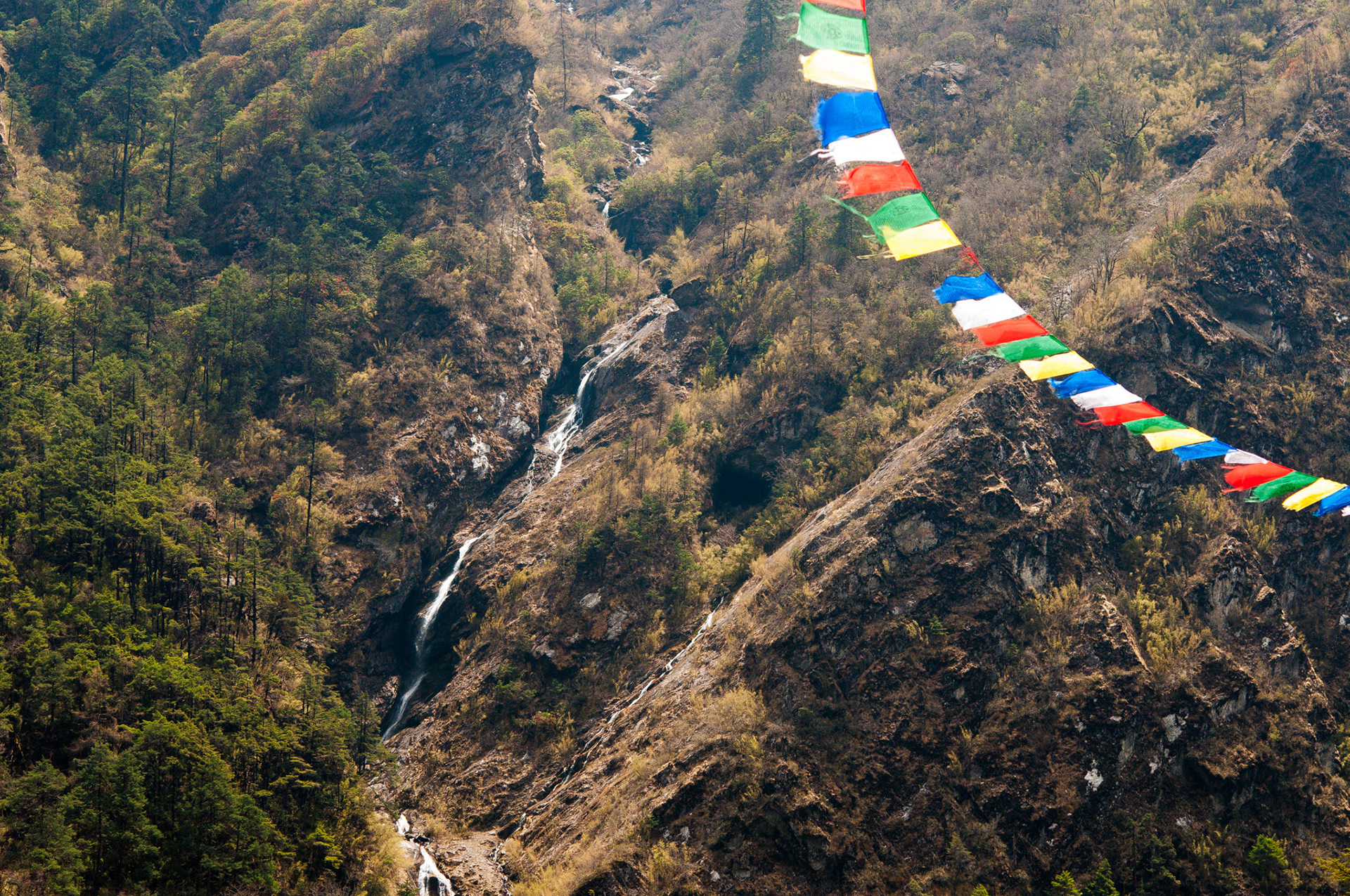 Entre Langtang (3430m) et Lama Hotel (2410m)