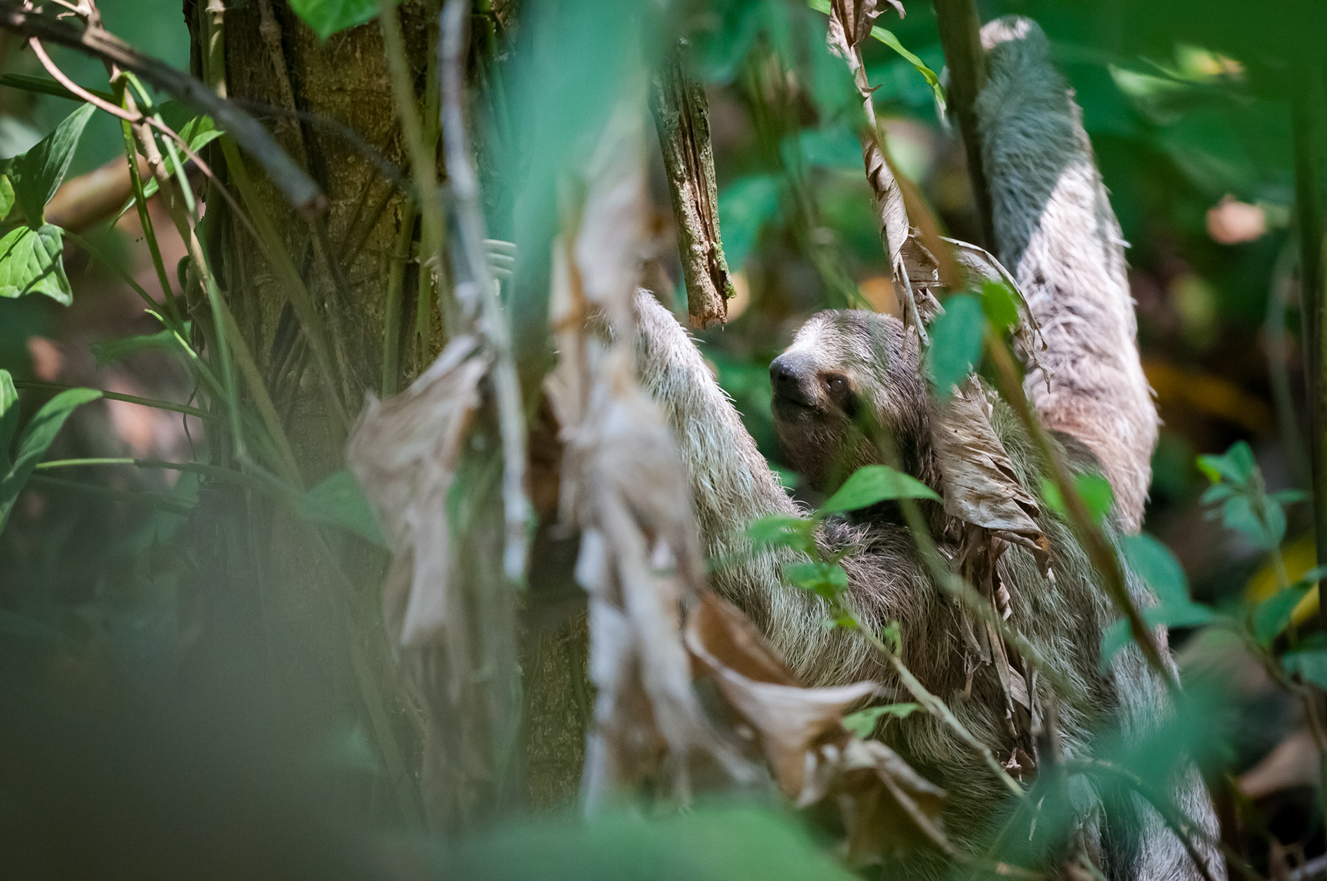 Parque Nacional Manuel Antonio