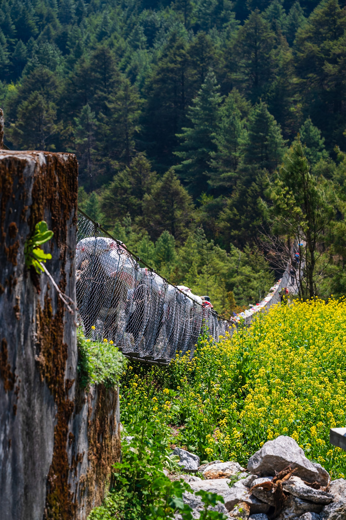 Day 2 - Phakding (2'610 m) to Namche Bazaar (3'446 m)
