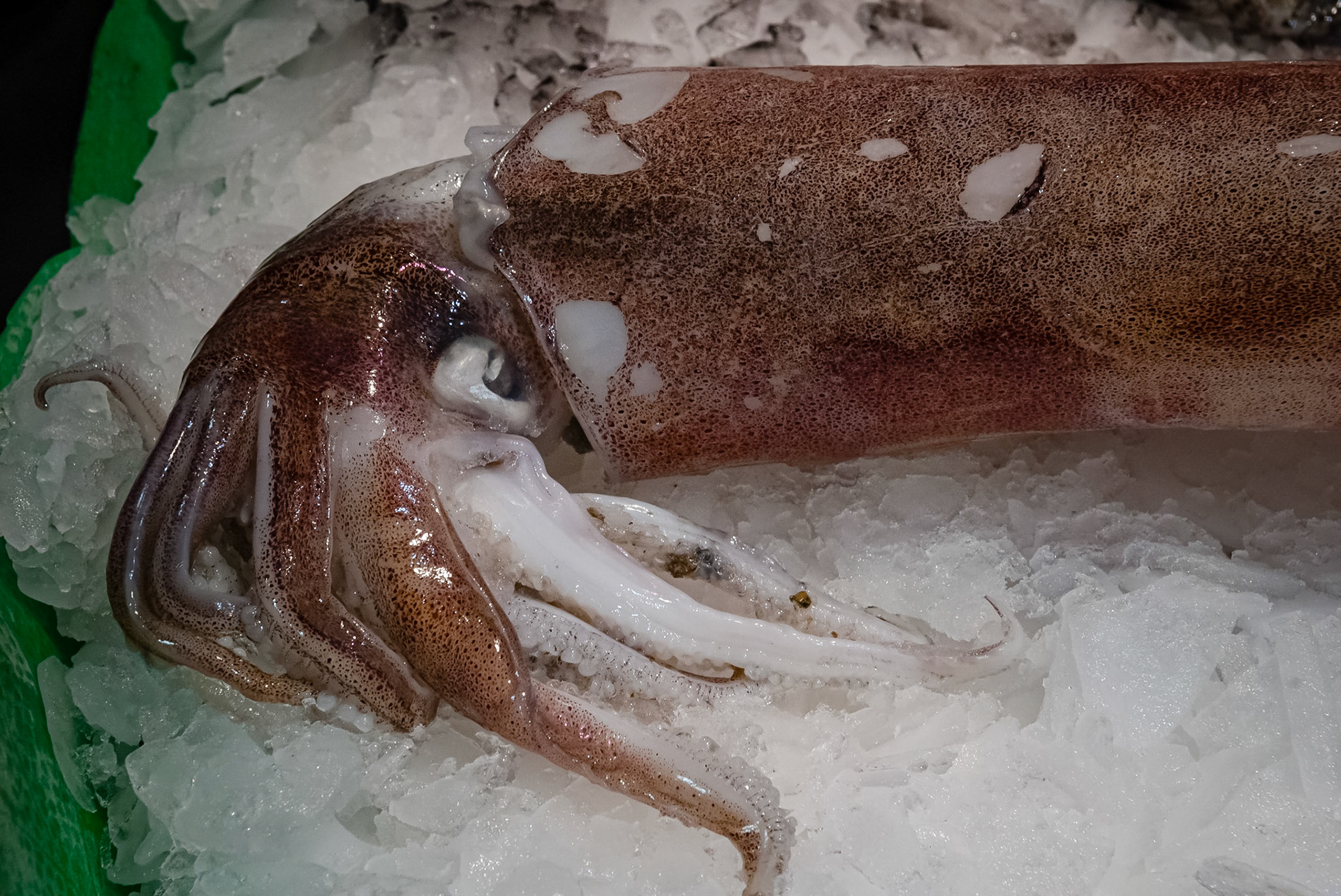 Mercat de la Boqueria, Barcelona