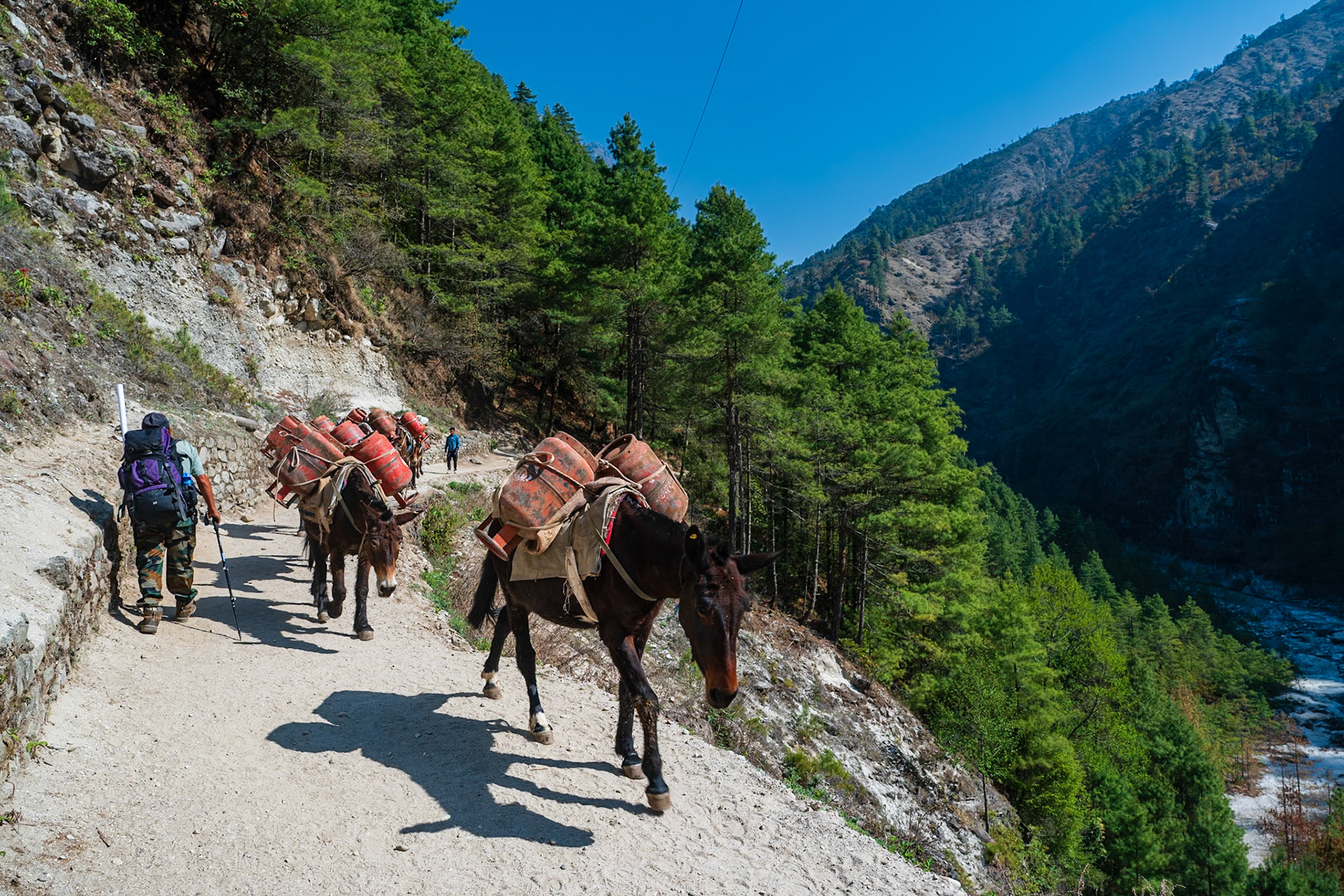 Day 2 - Phakding (2'610 m) to Namche Bazaar (3'446 m)