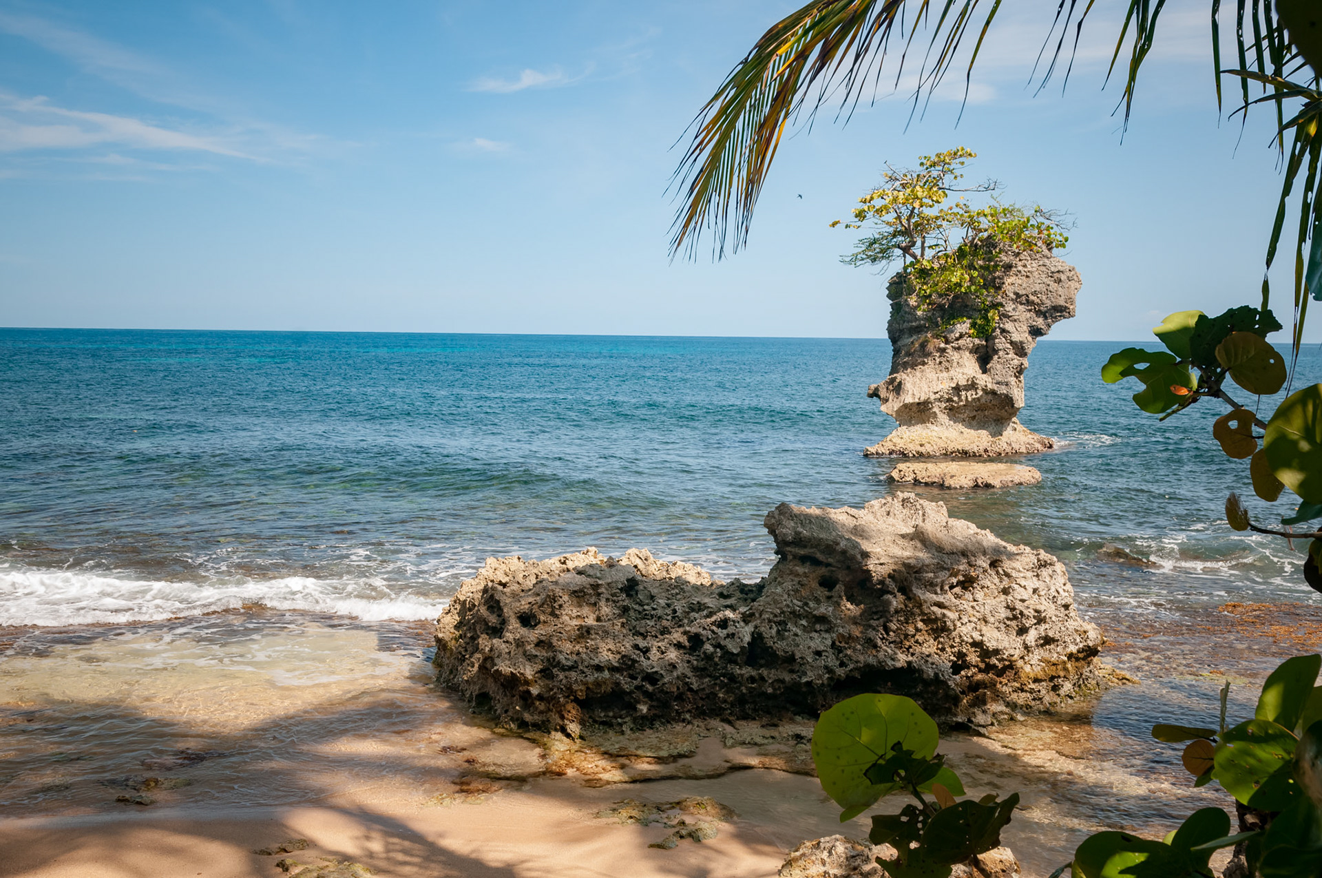 Refugio Nacional de Vida Silvestre Gandoca-Manzanillo
