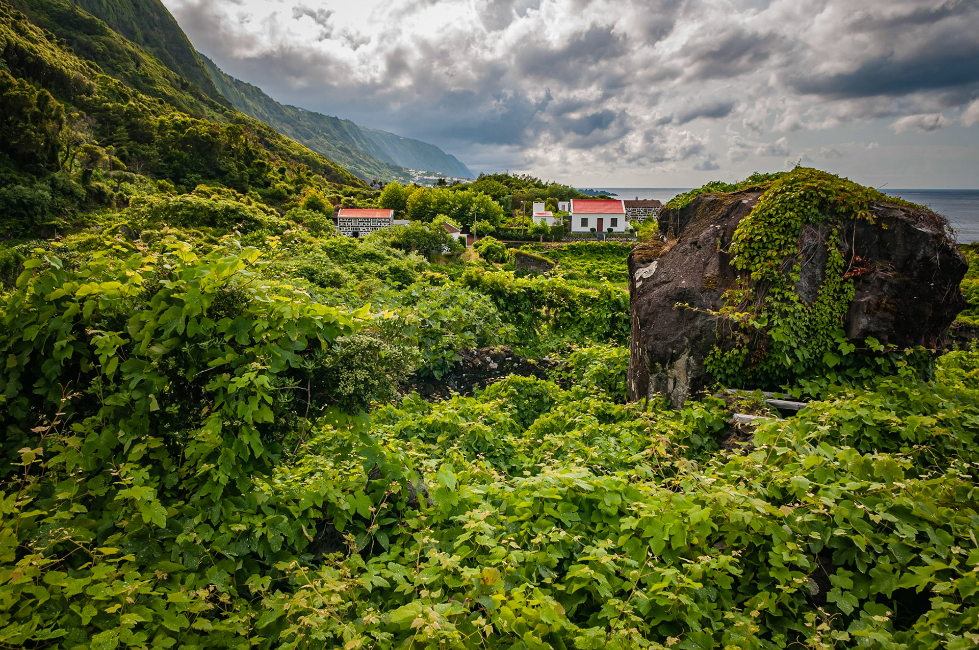 Fajã da Ribeira da Areai, São Jorge