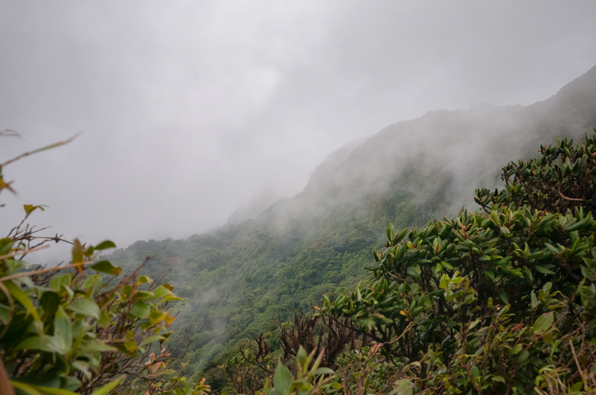 Reserva Biologica Bosque Nuboso Monteverde