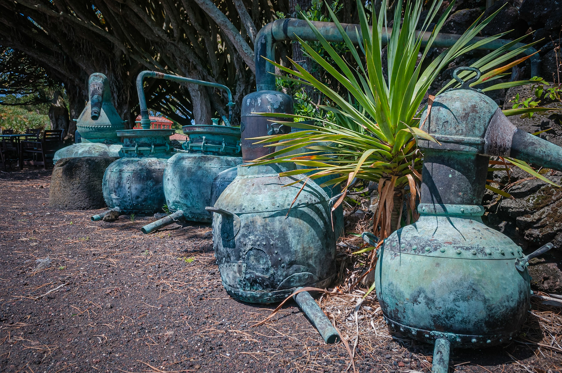 Museu do Vinho do Pico, Madalena, Pico