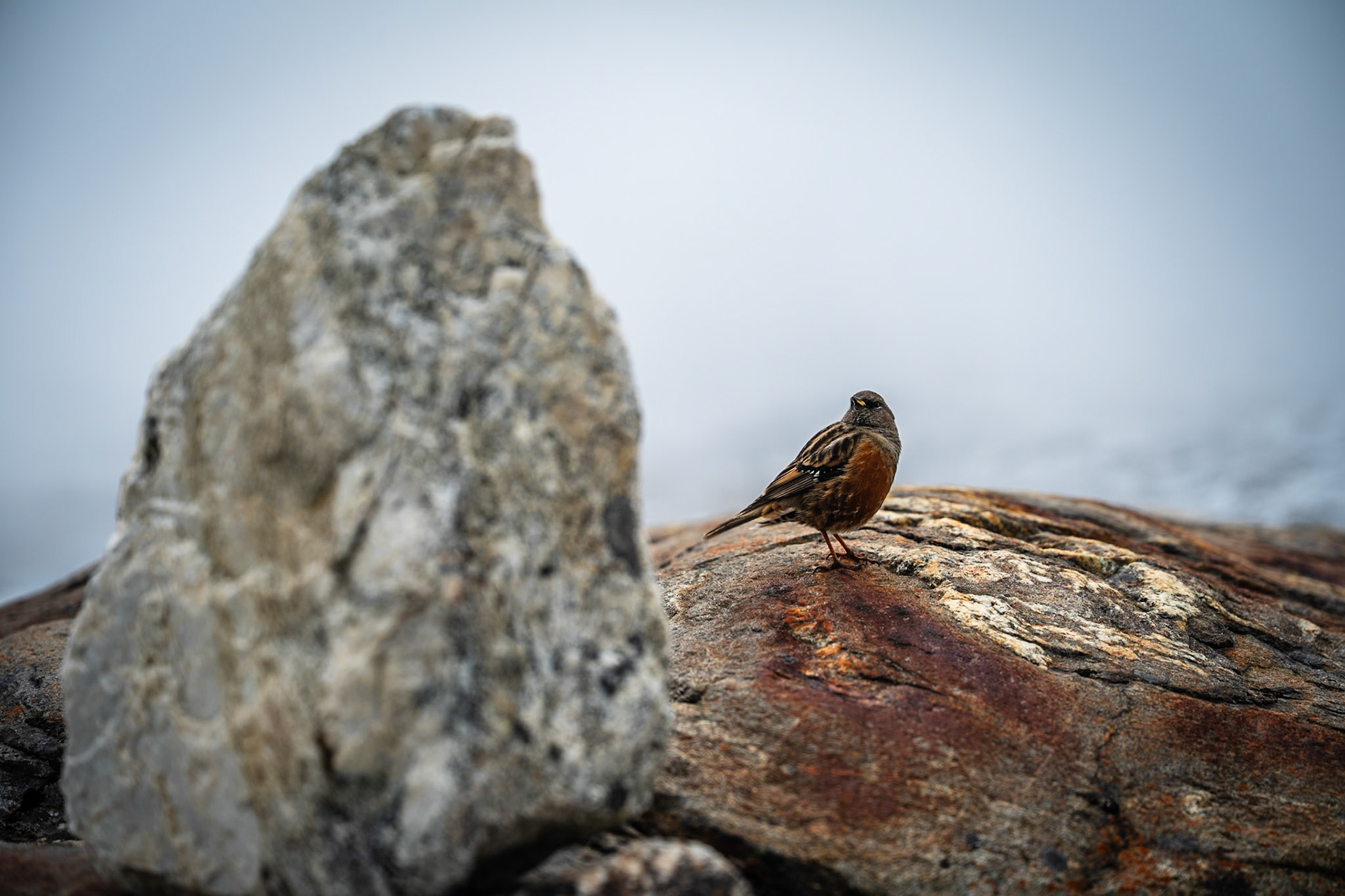 Day 8 - Gokyo (4'790 m) to Lumden (4'370 m) crossing over Renjo la pass (5'340 m)