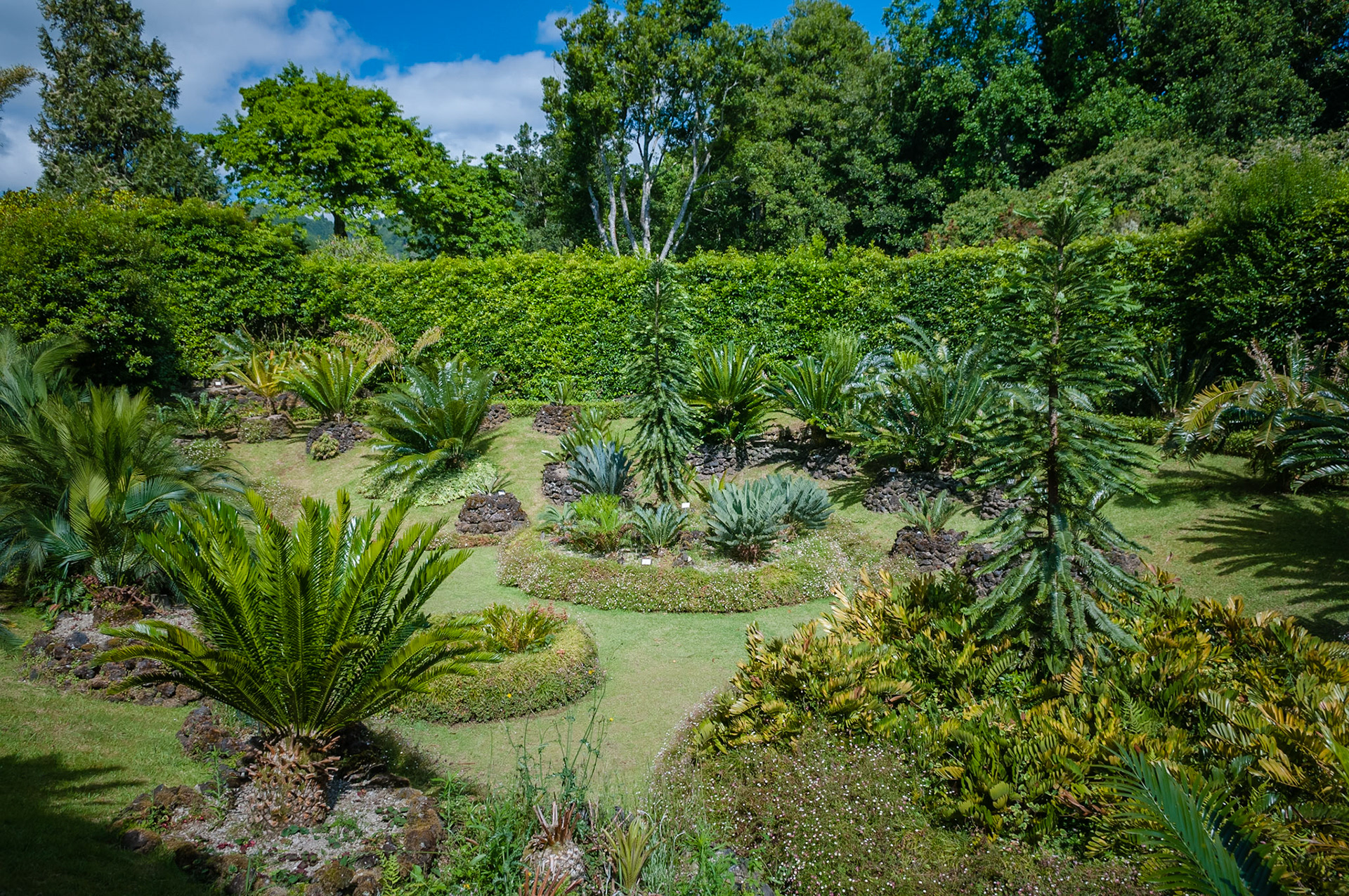 Parc Terra Nostra, Furnas, São Miguel