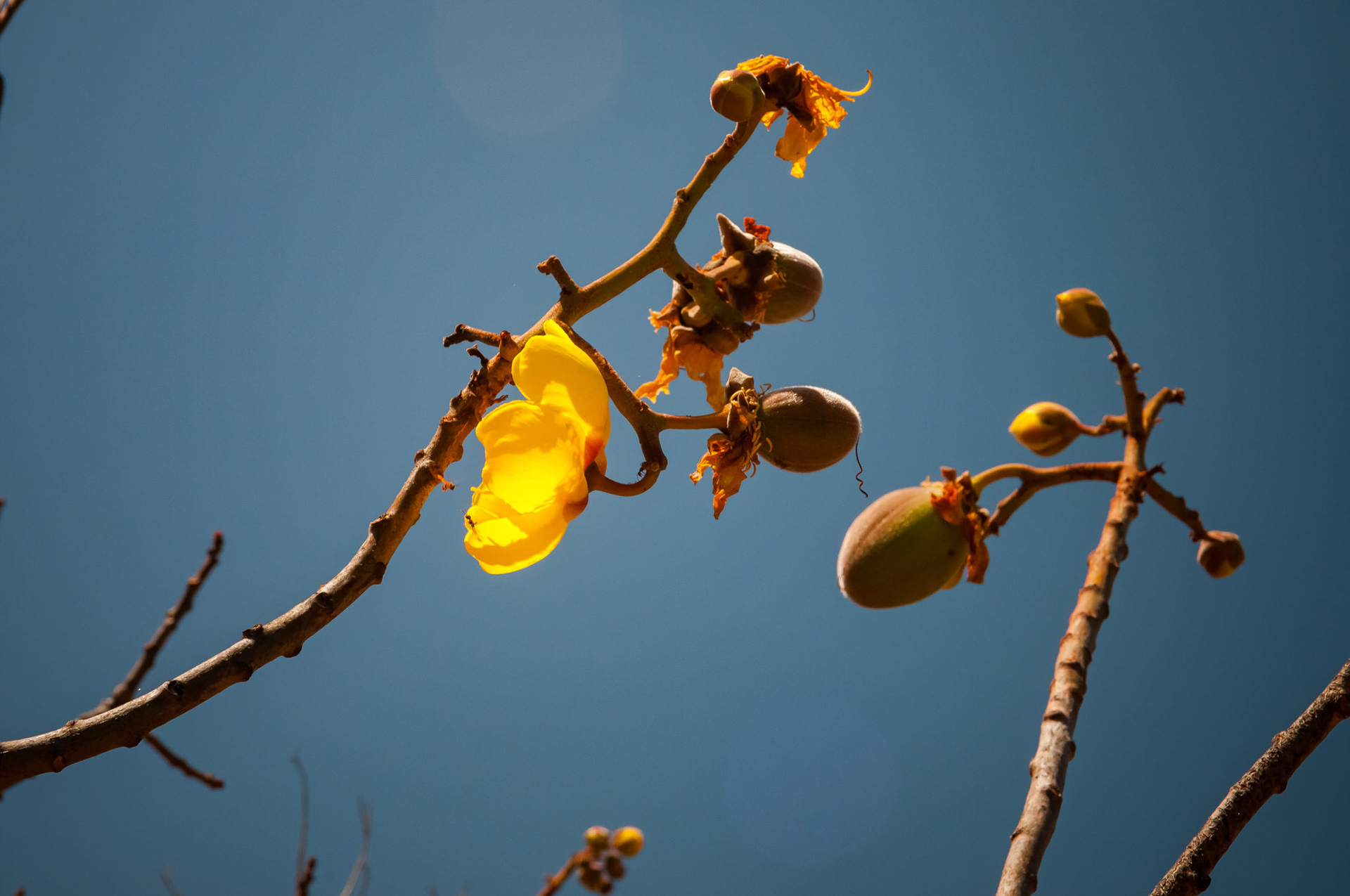 Parque National Rincon de la Vieja