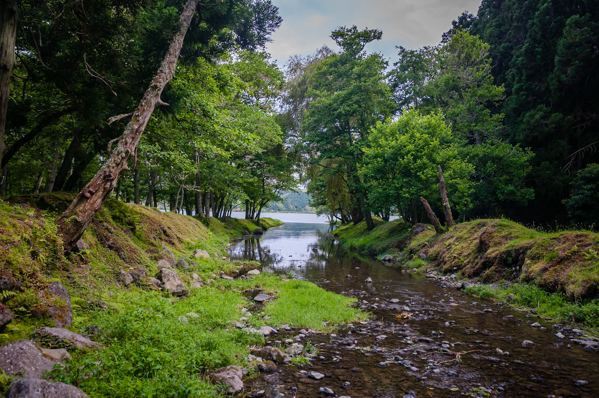 Lagoa das Furnas, São Miguel