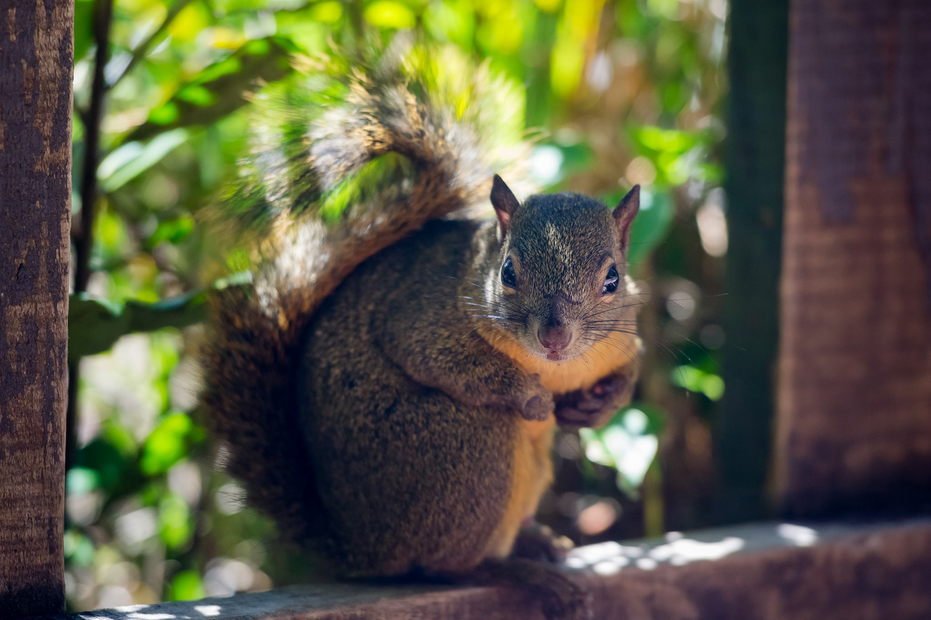 Parque National Volcàn Poas