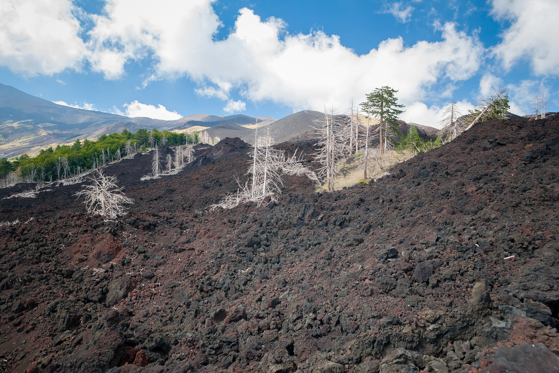 Cratères de 2002, Mont Etna