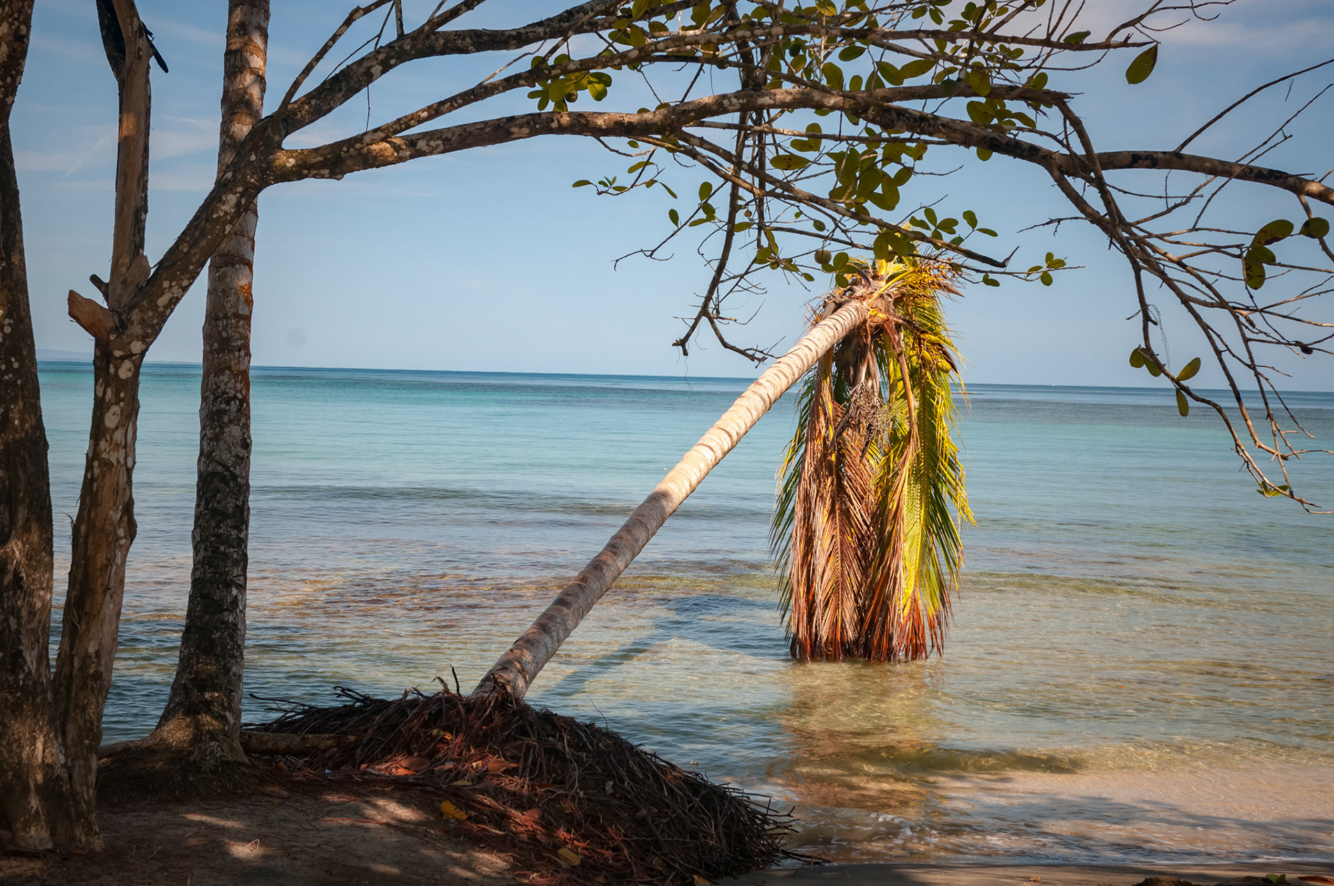 Refugio Nacional de Vida Silvestre Gandoca-Manzanillo