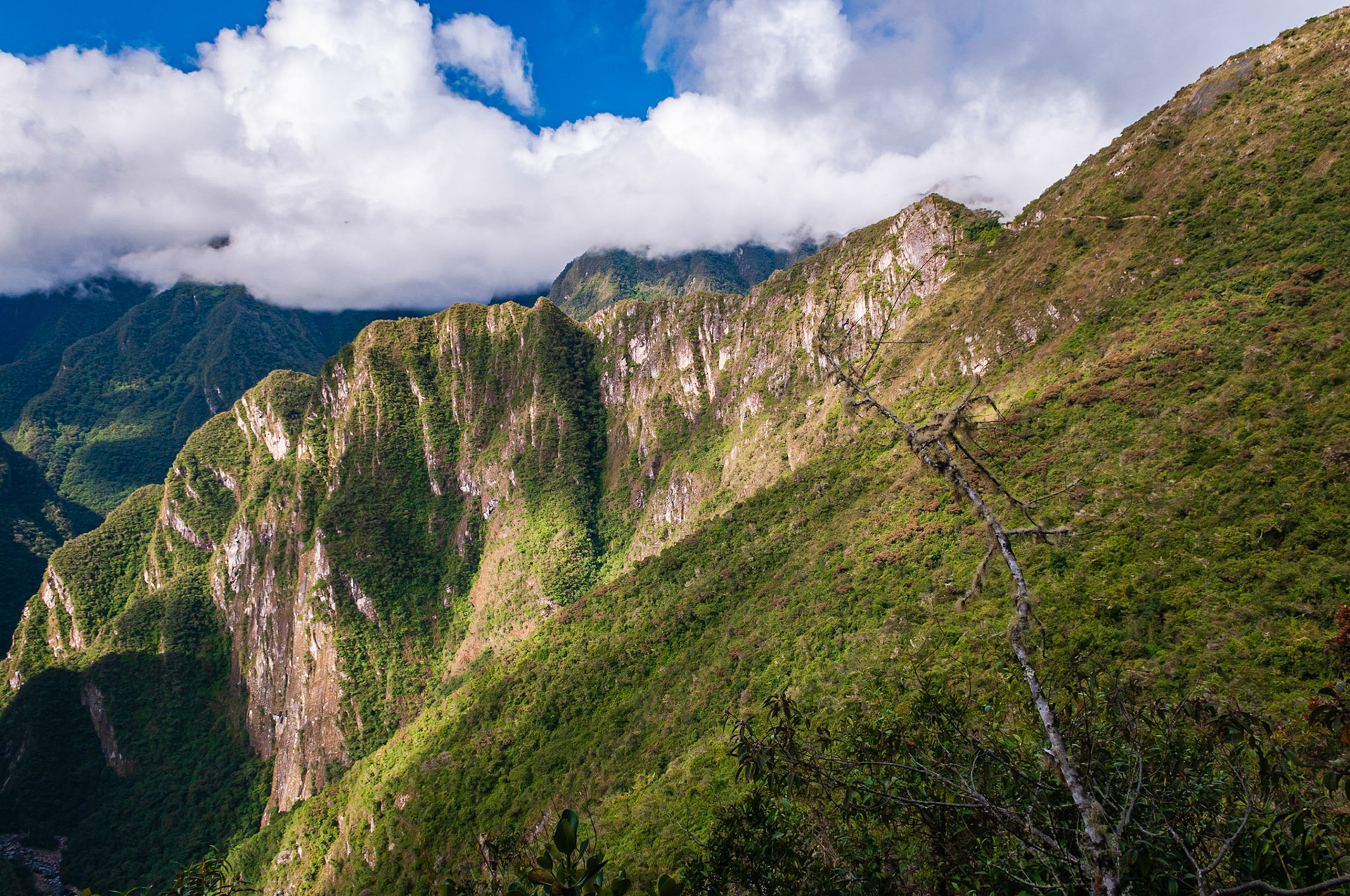 Machu Picchu